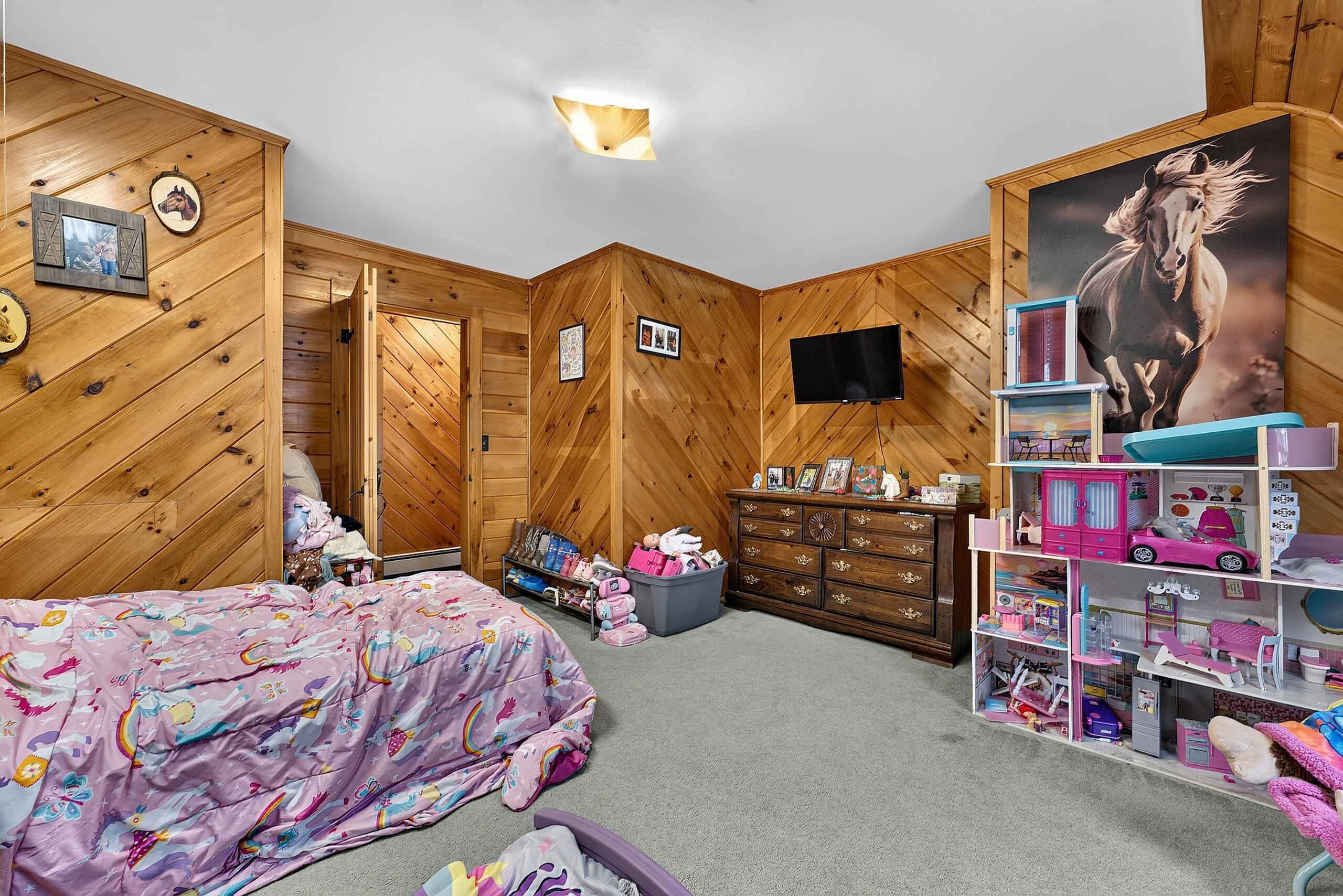 main property photo 106