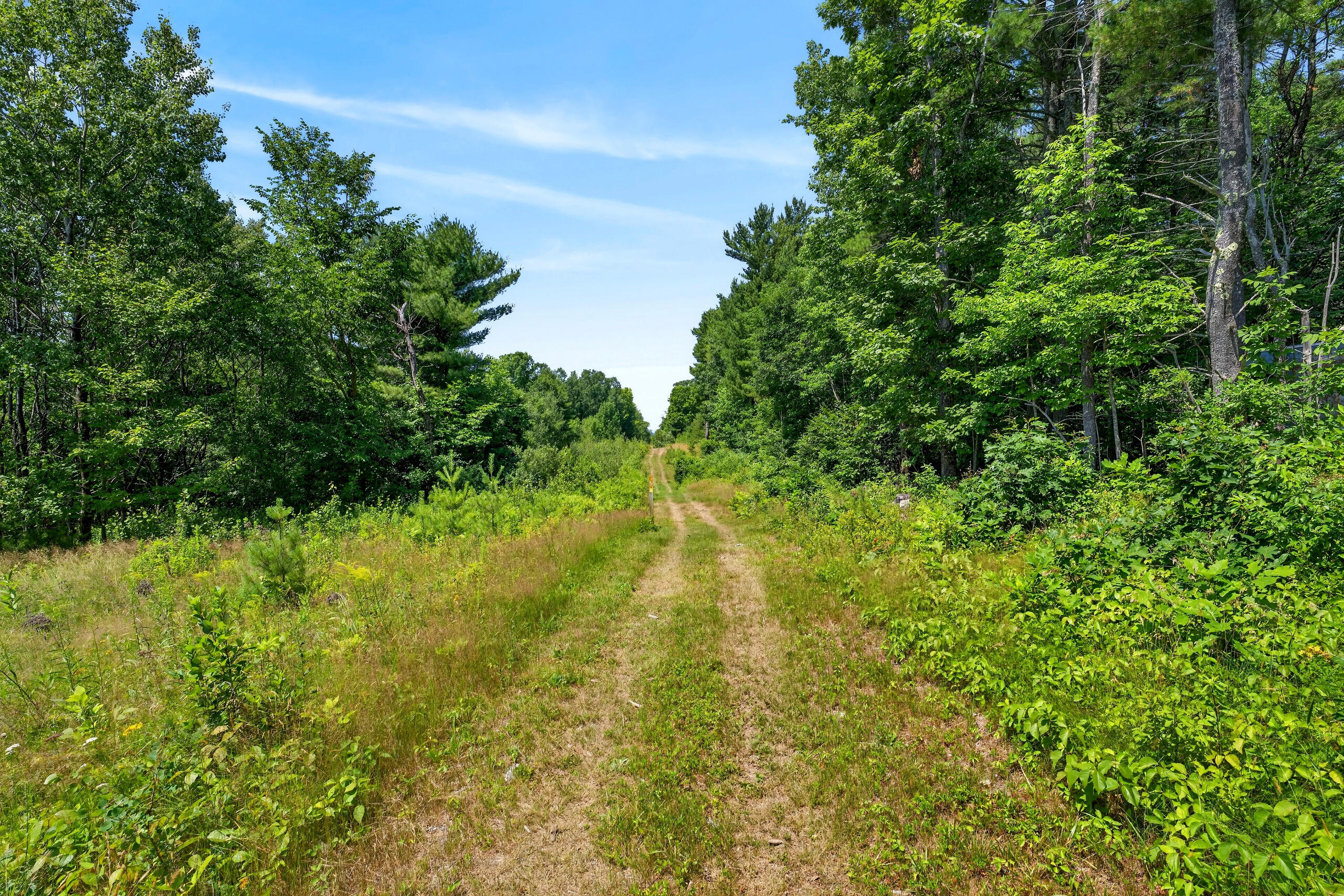 main property photo 118