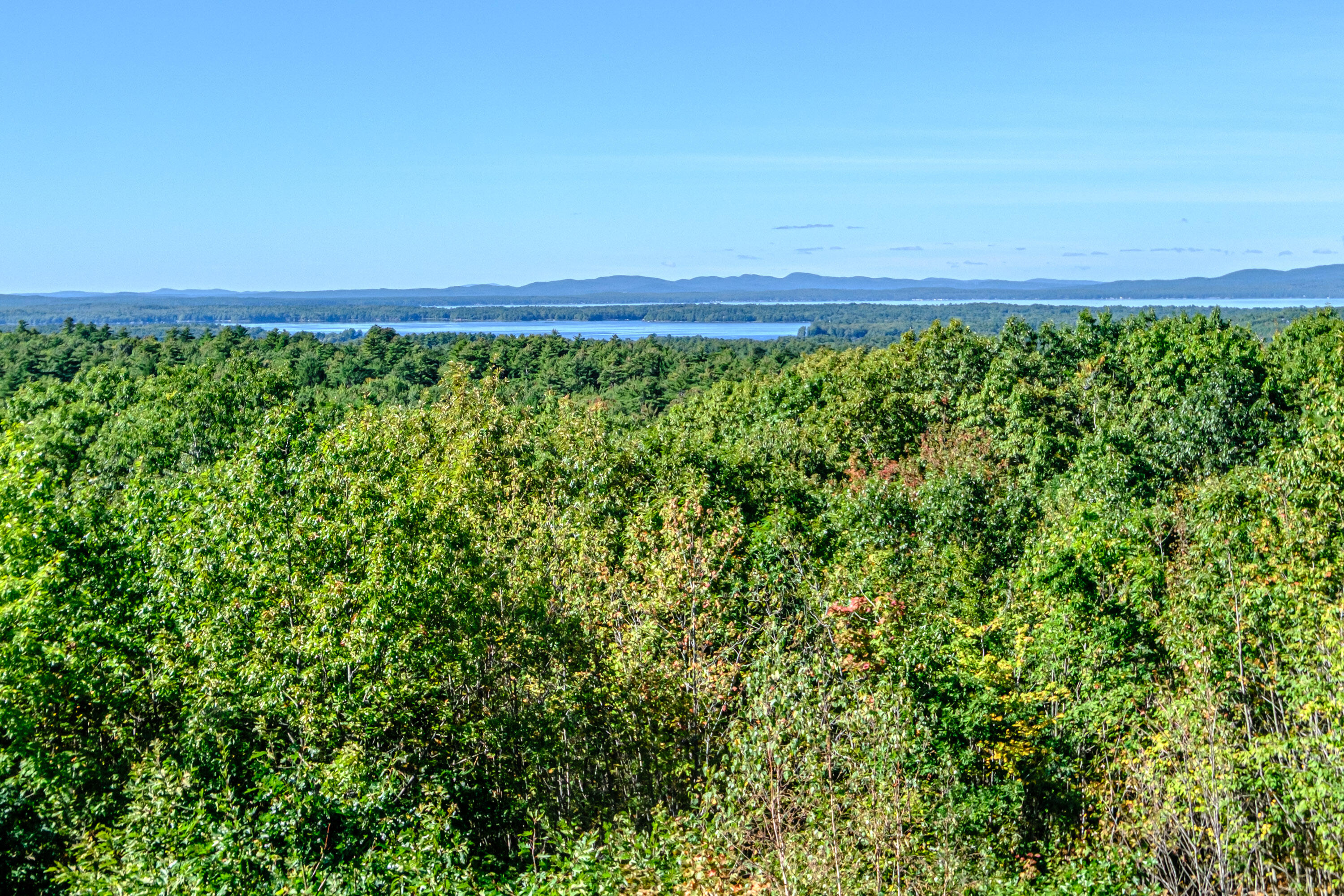 main property photo 64