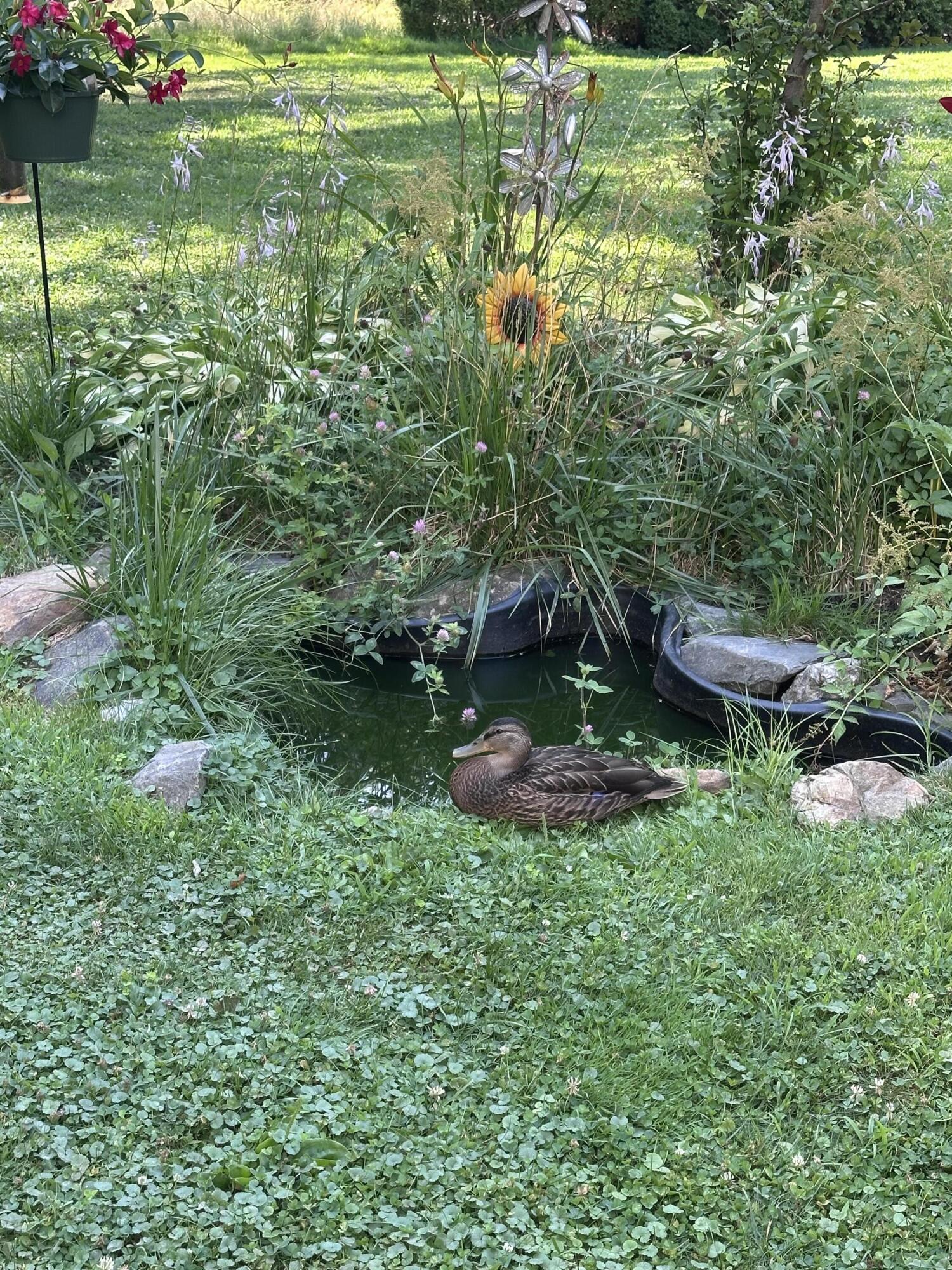 main property photo 50