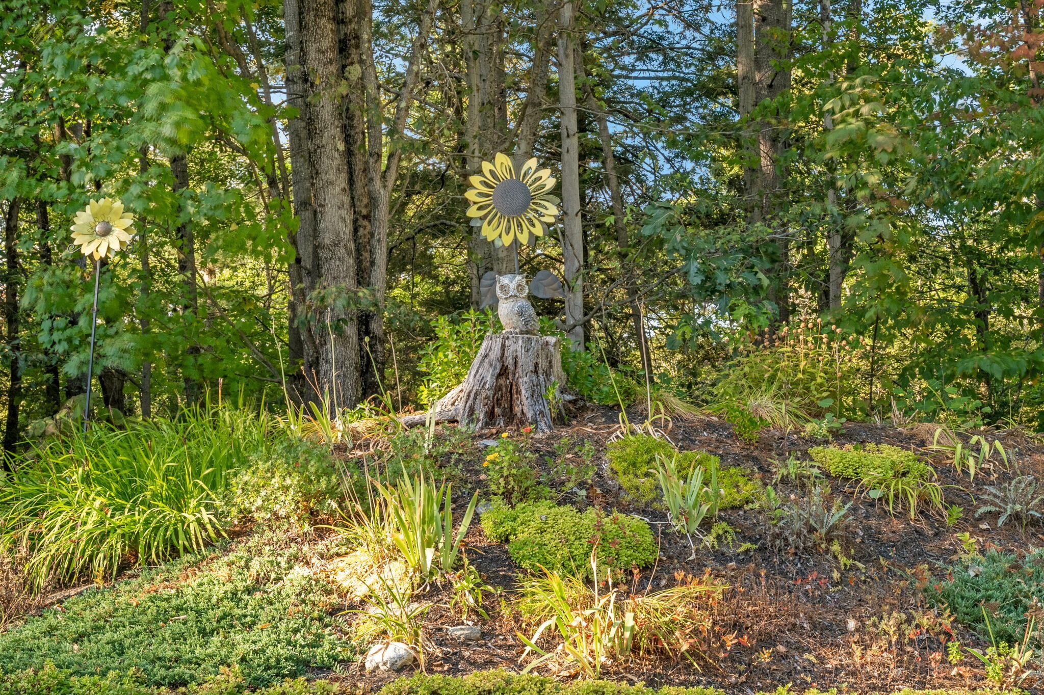 main property photo 52