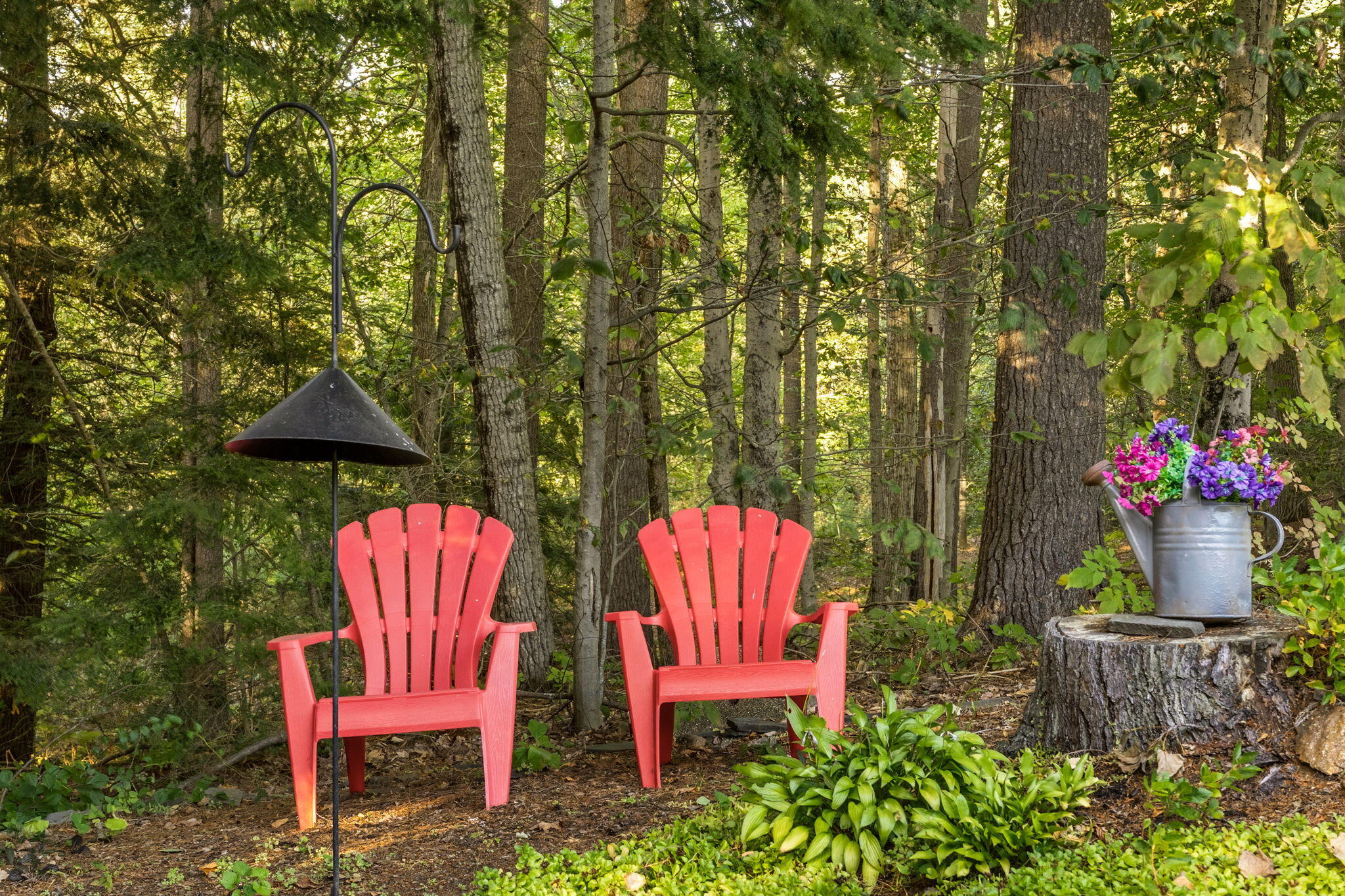 main property photo 61