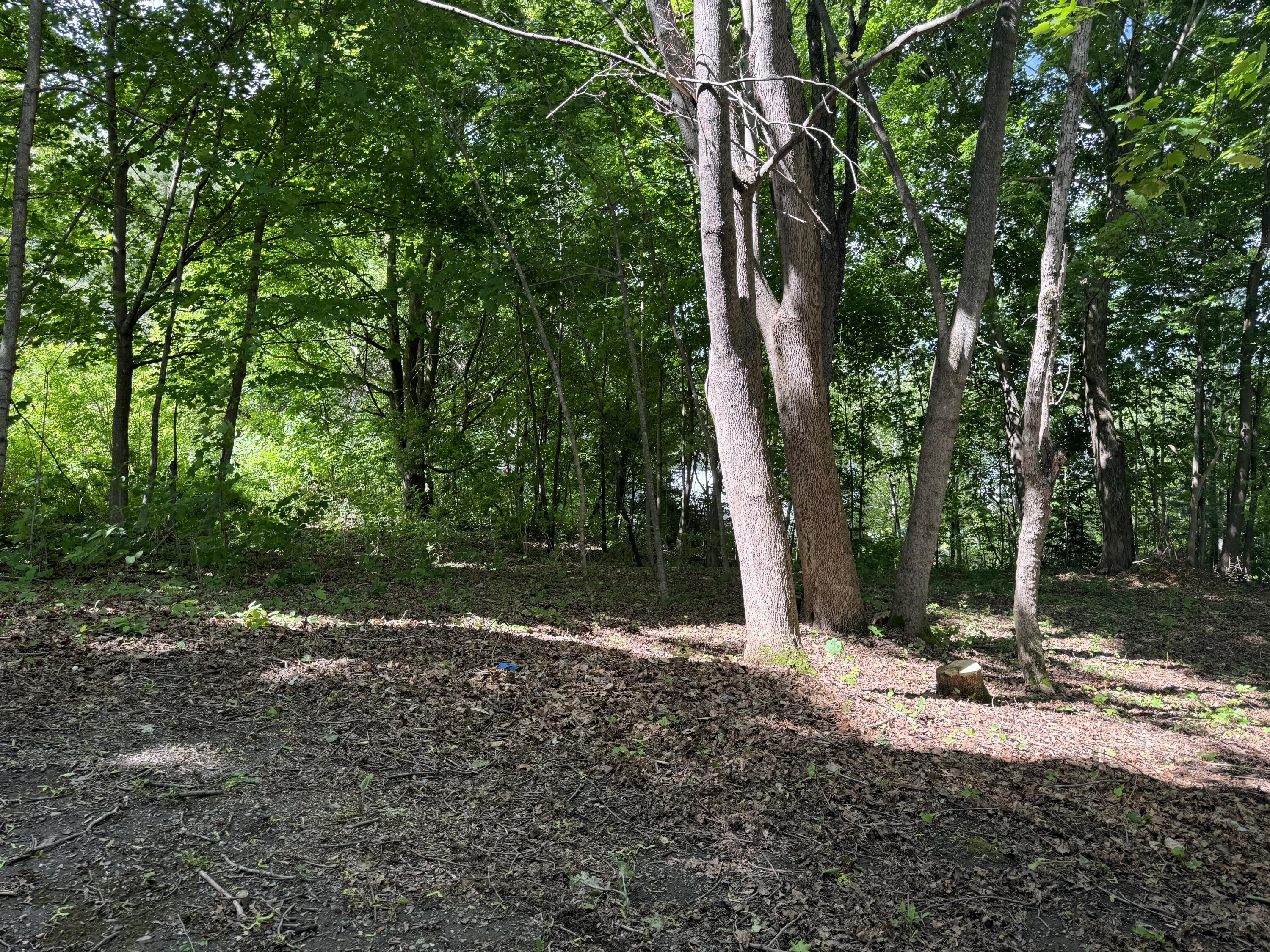 main property photo 48