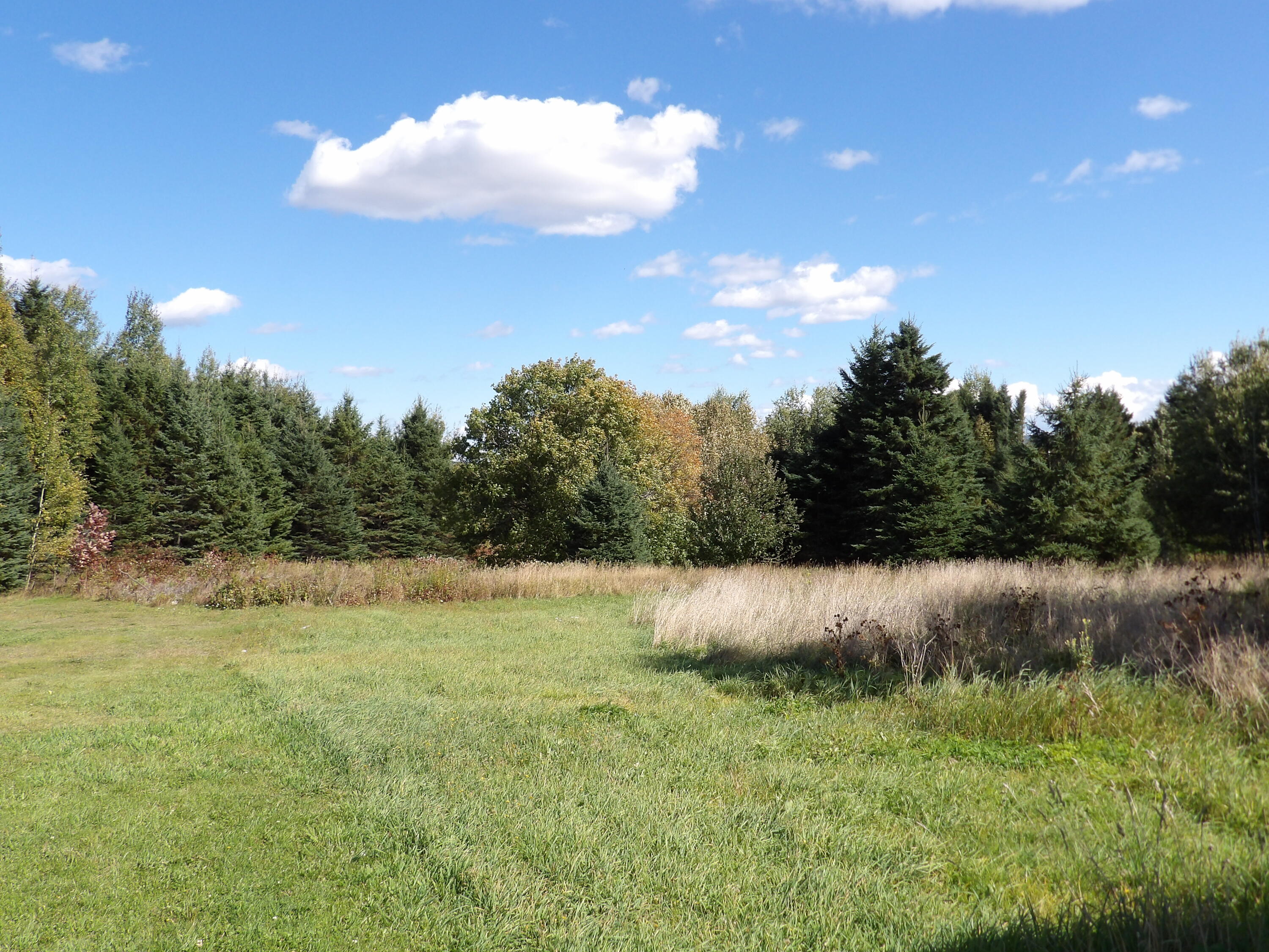 main property photo 52