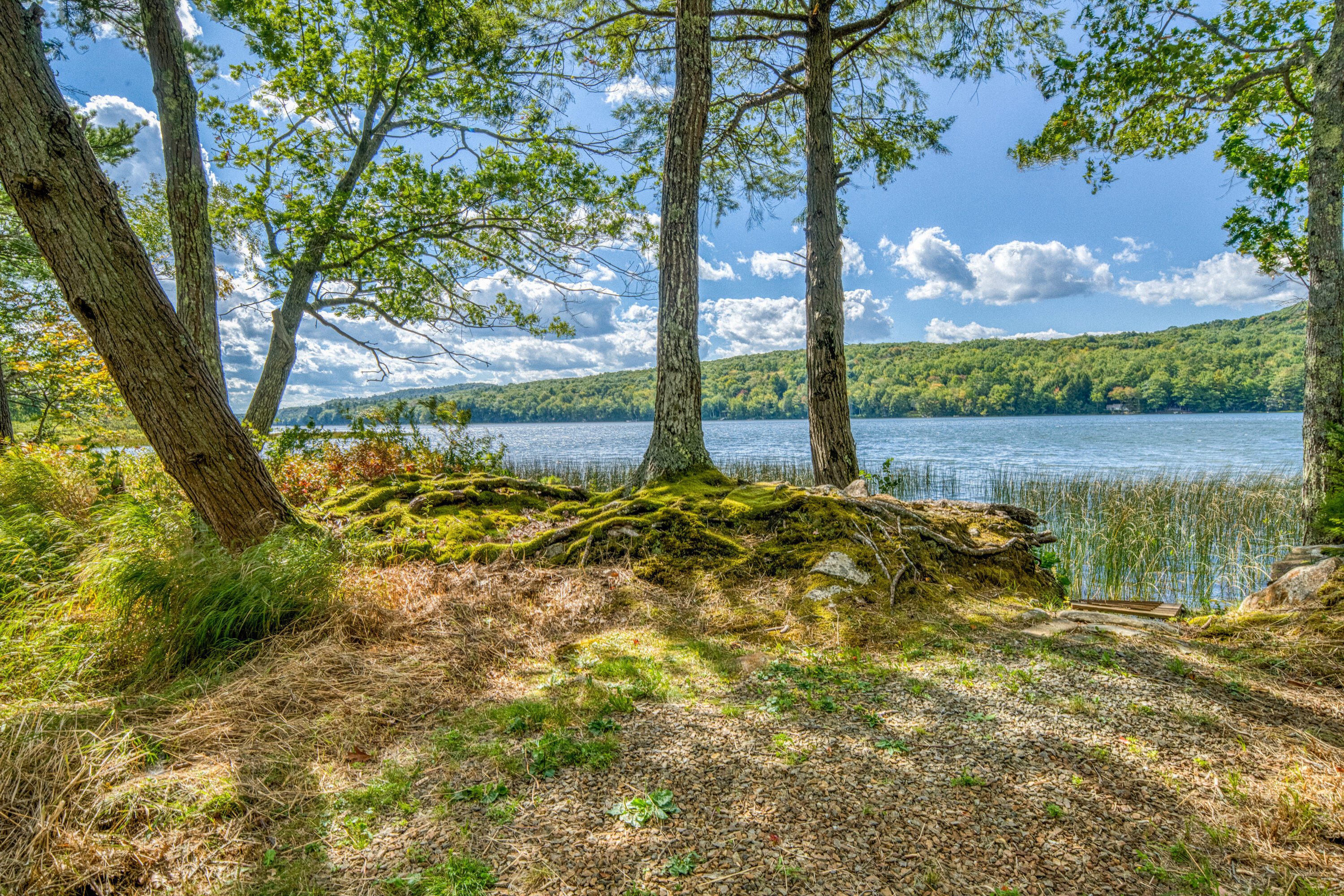 main property photo 71