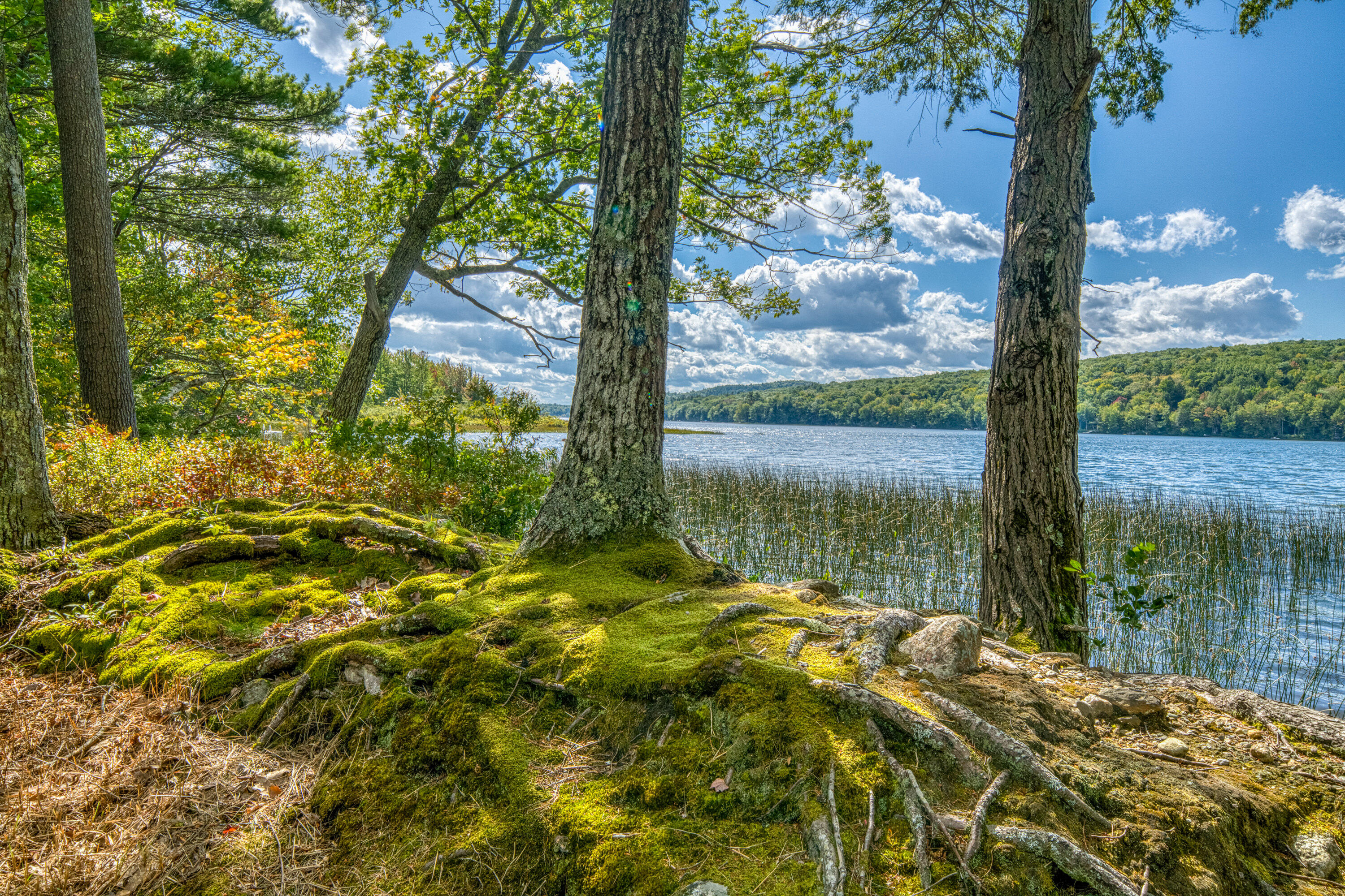 main property photo 73