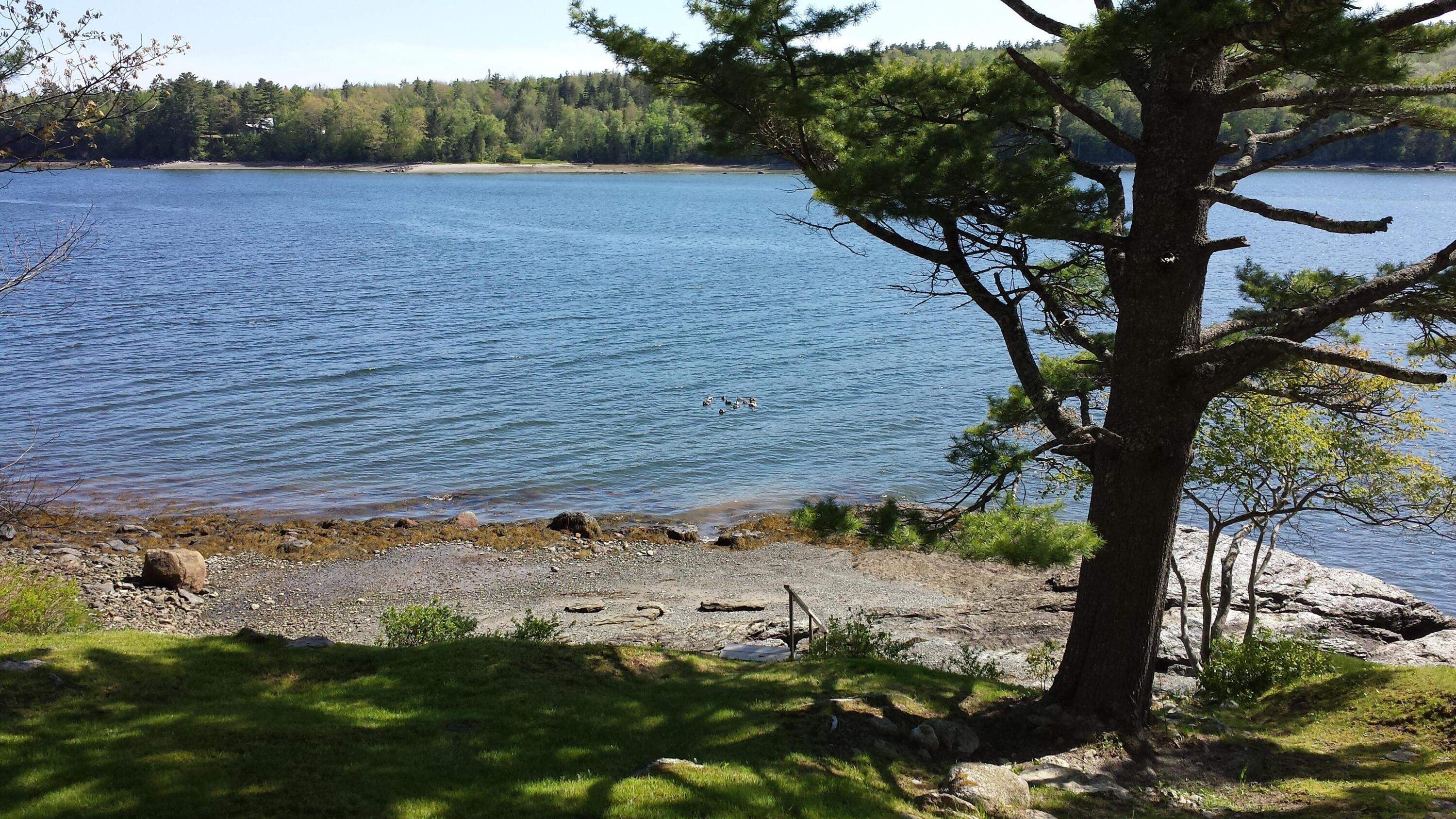 main property photo 36