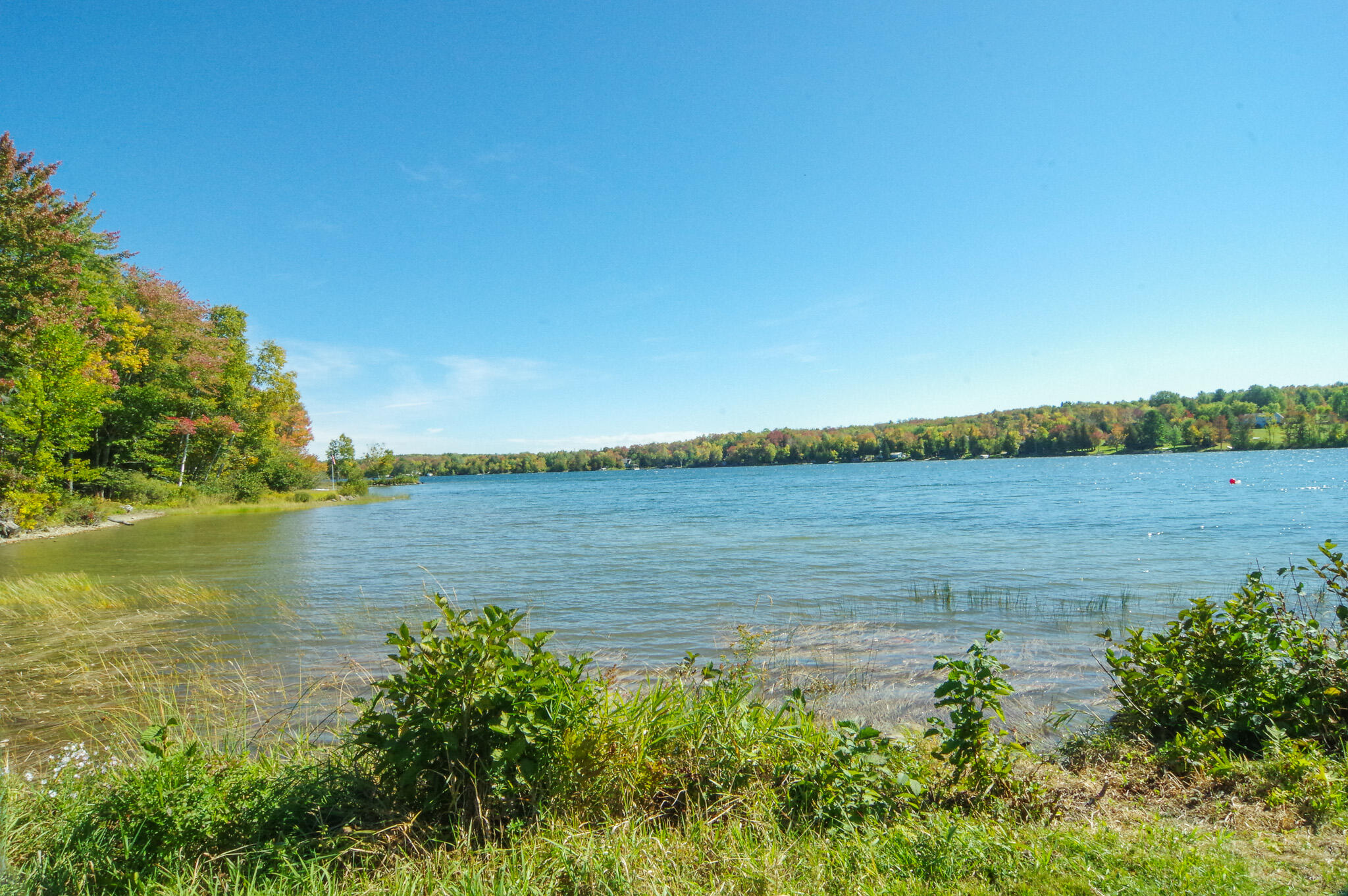 main property photo 43