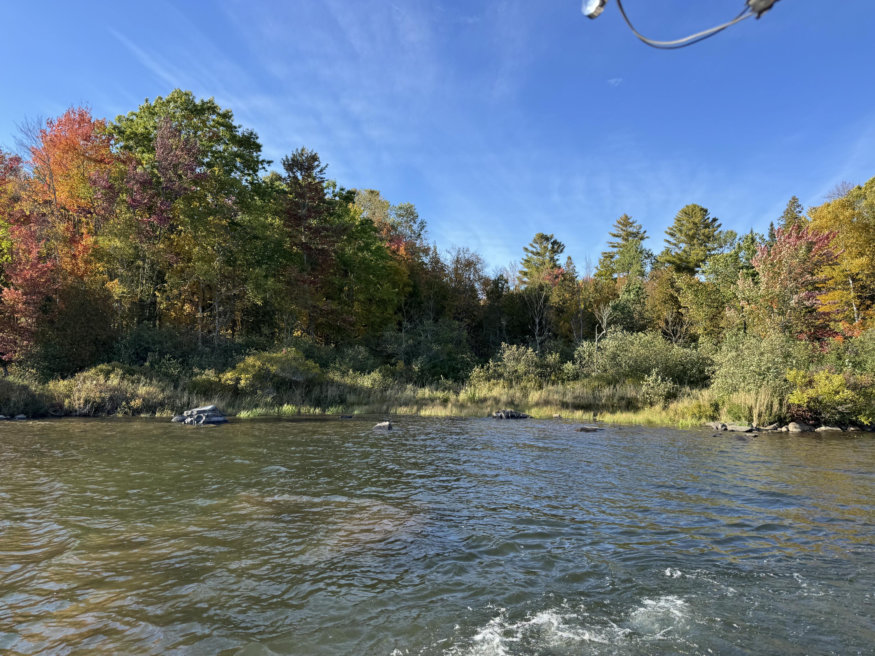 main property photo 59