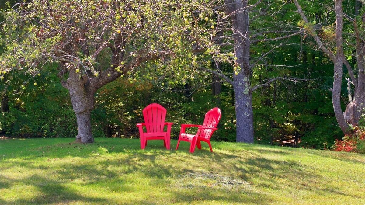 main property photo 80