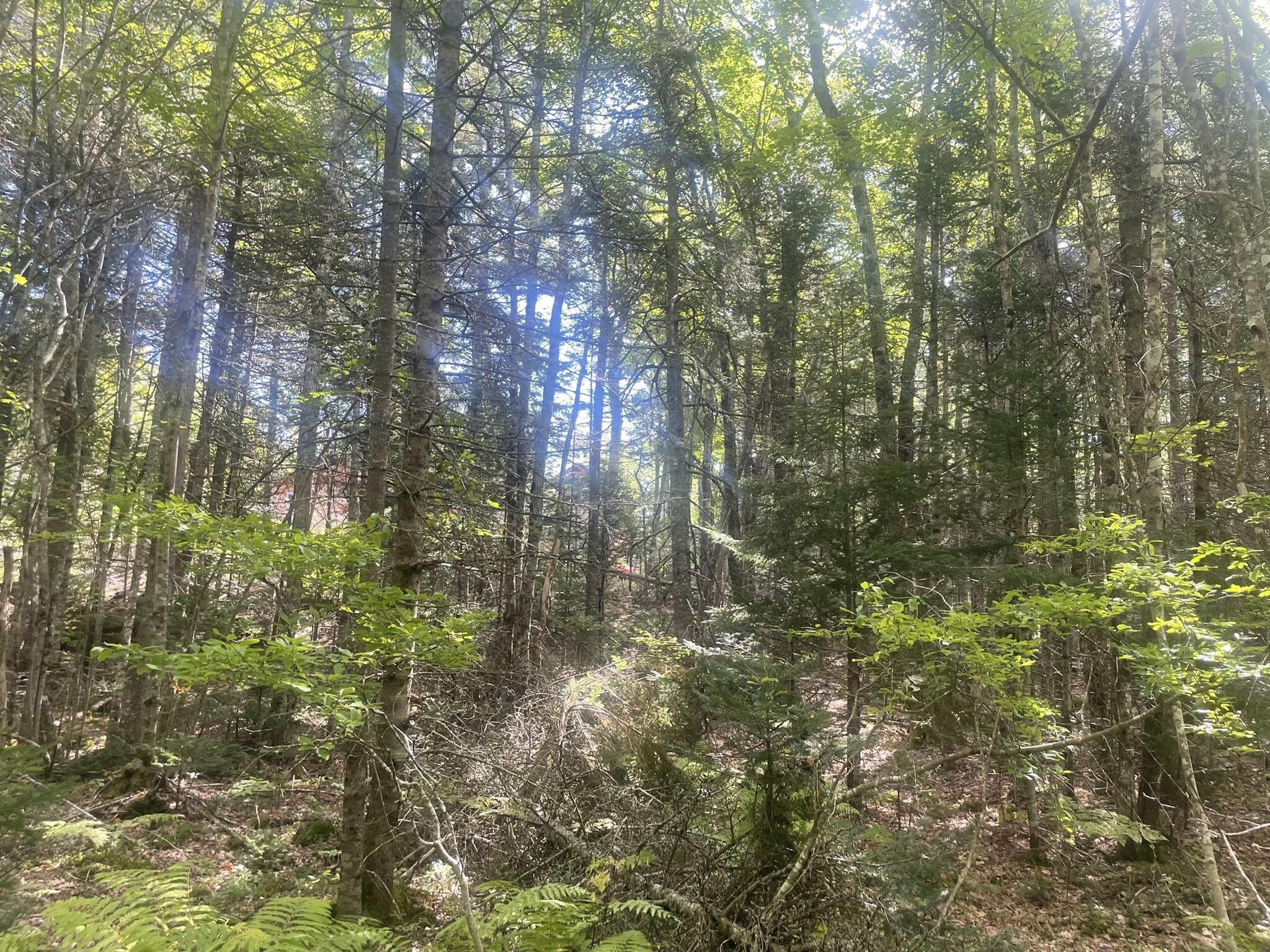 main property photo 49