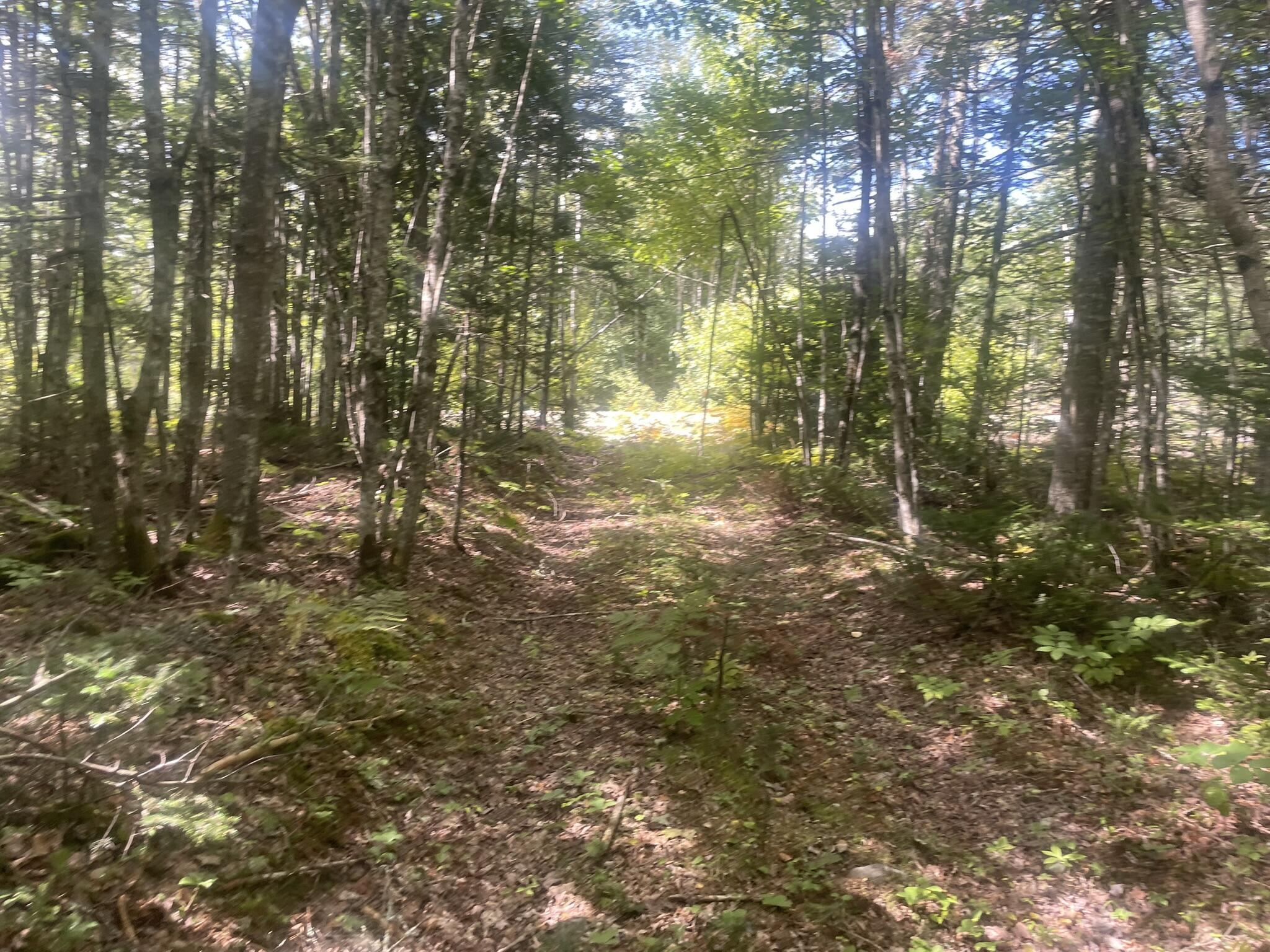 main property photo 50