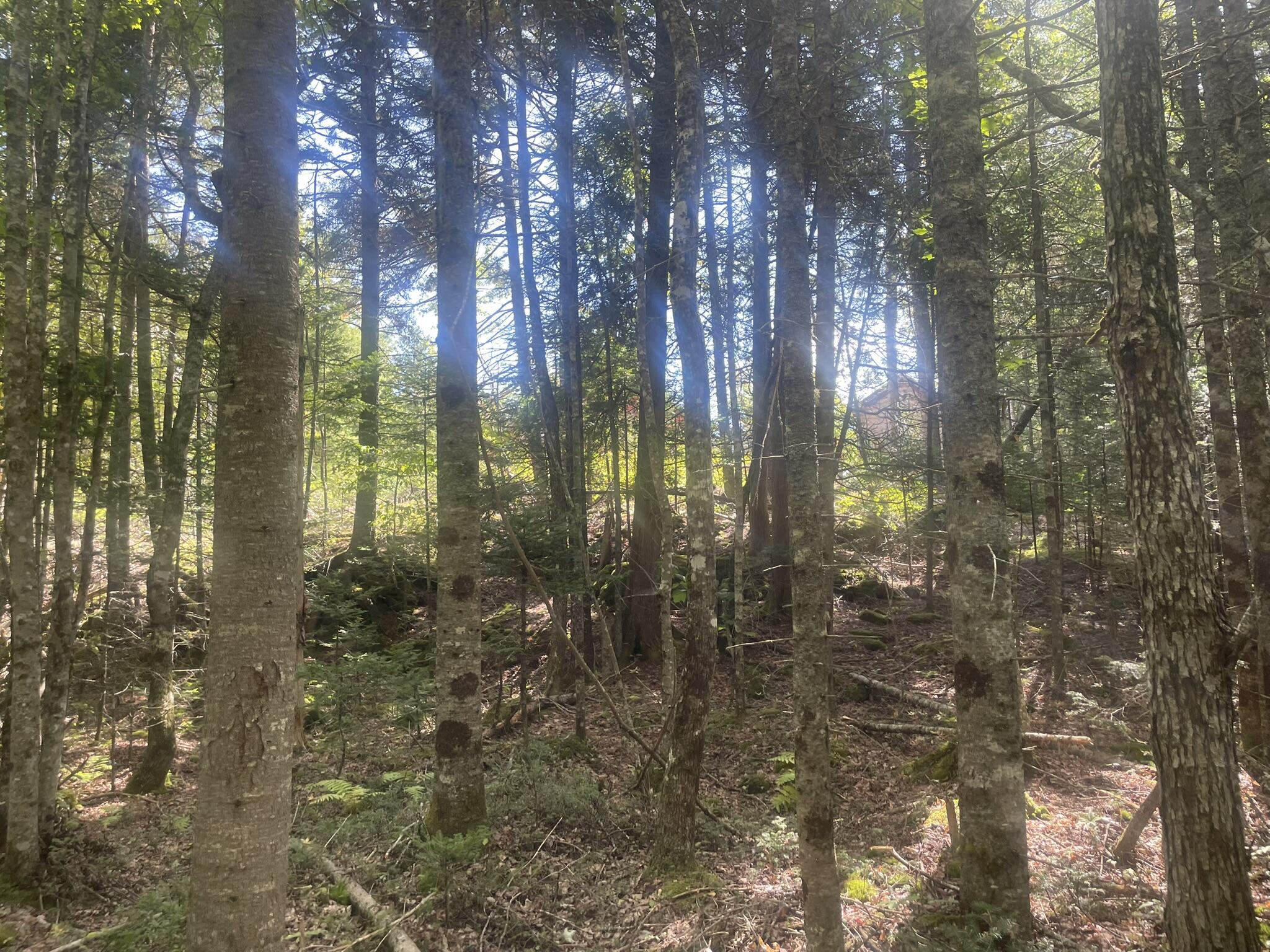 main property photo 51