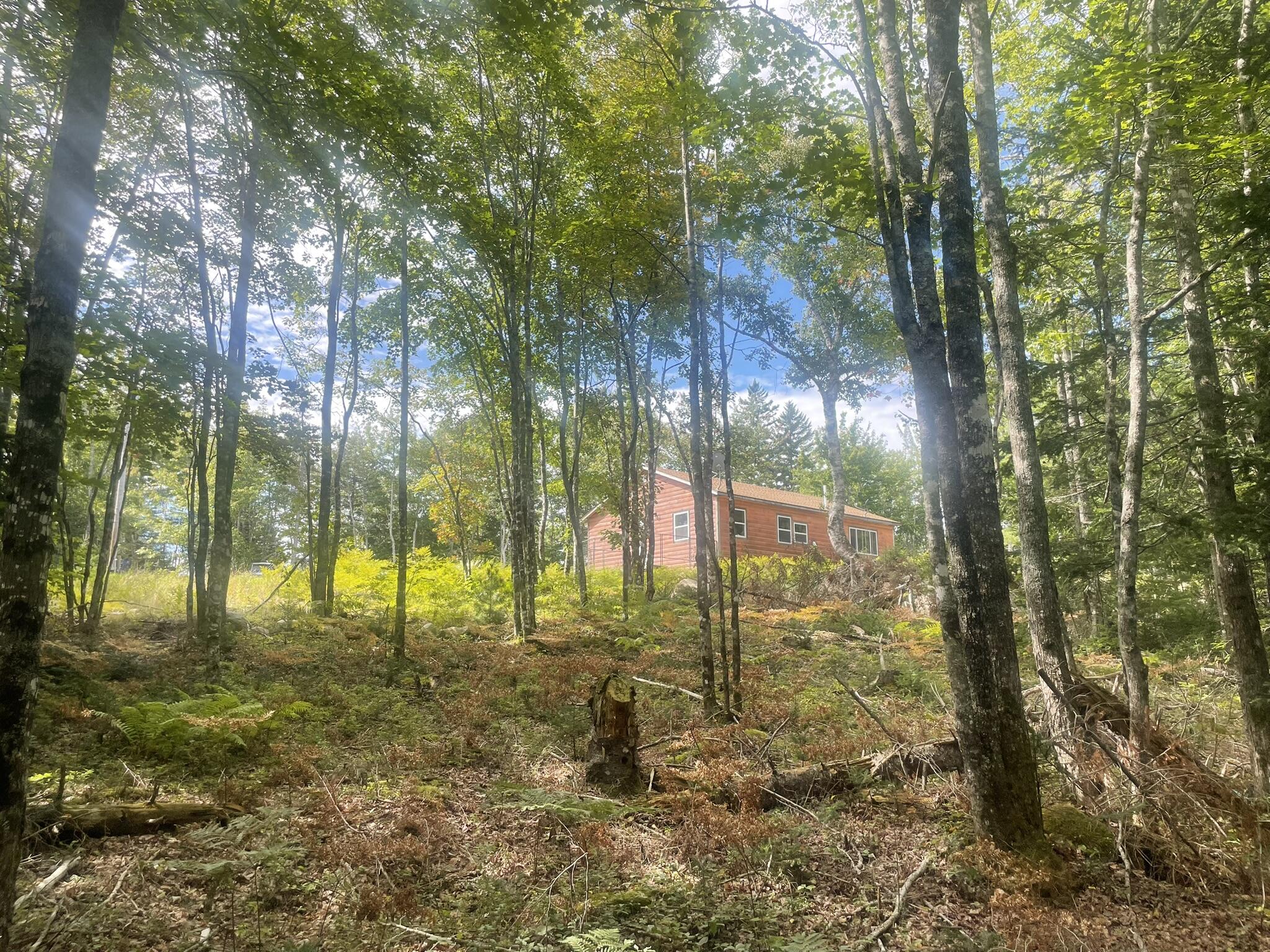 main property photo 56