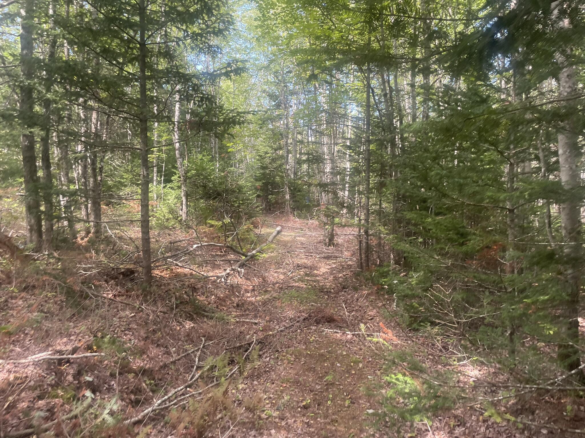 main property photo 57