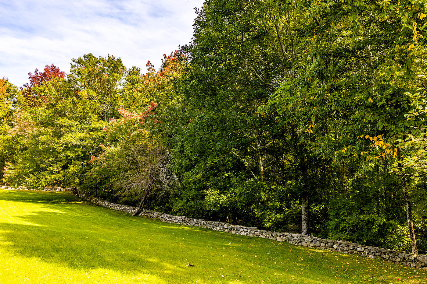 main property photo 65