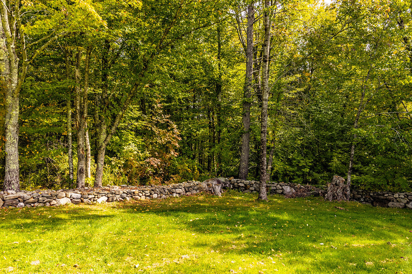 main property photo 66