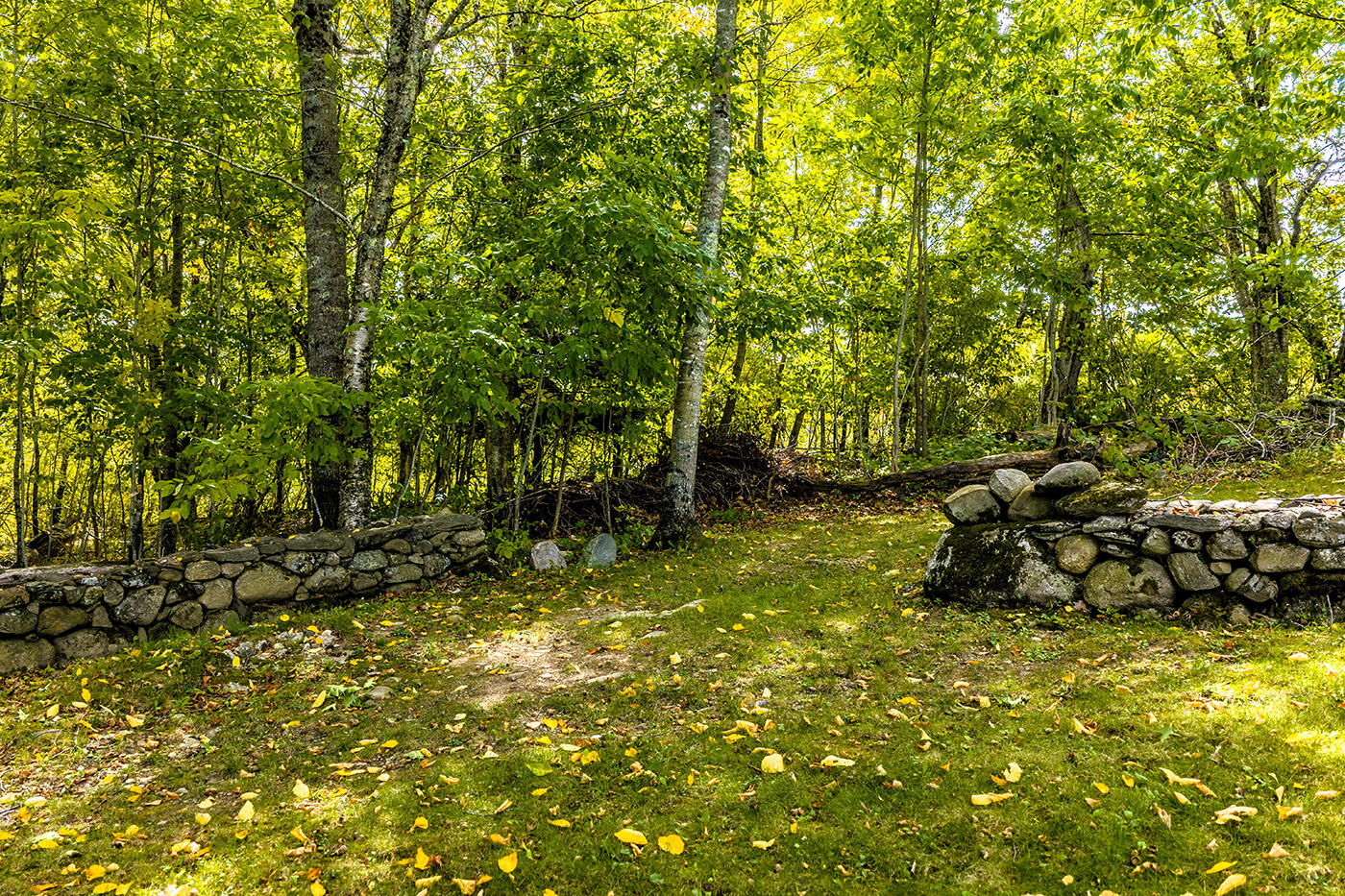 main property photo 67