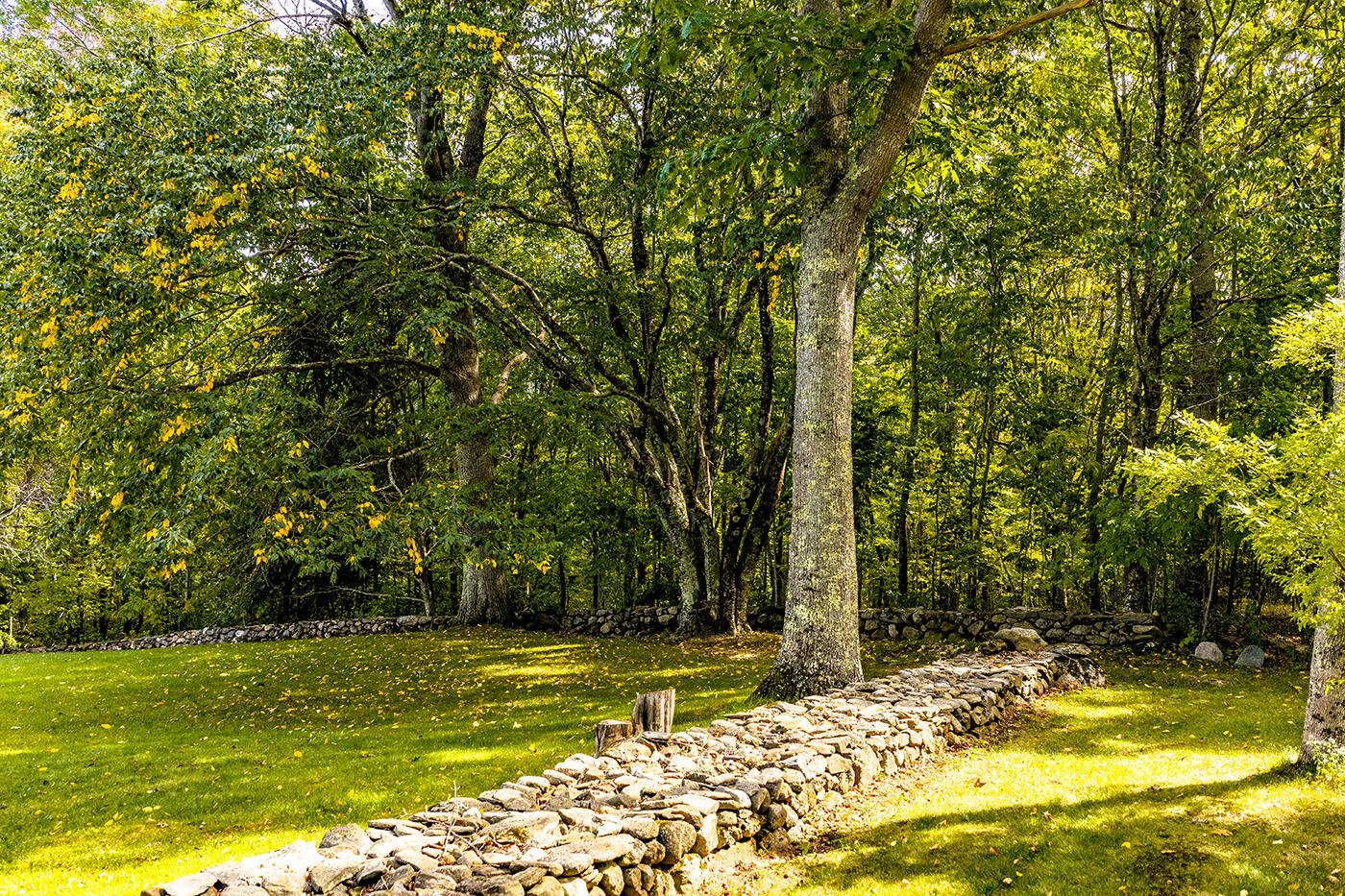 main property photo 69