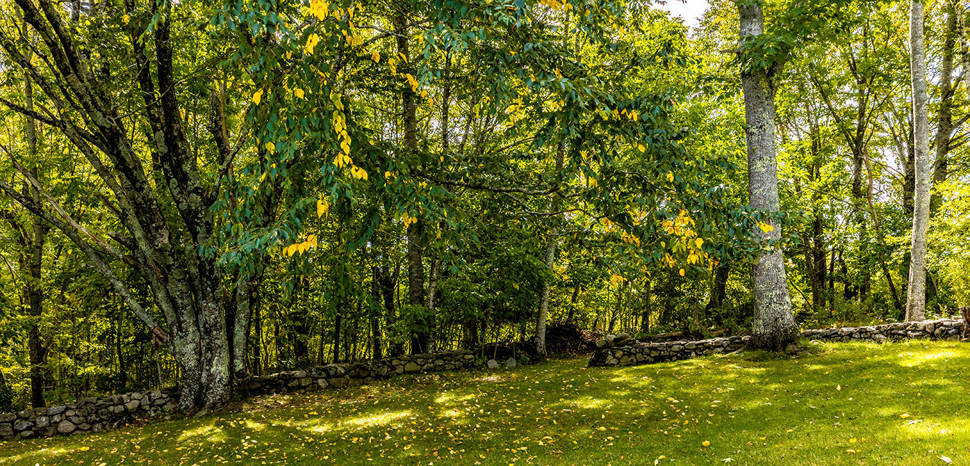 main property photo 70