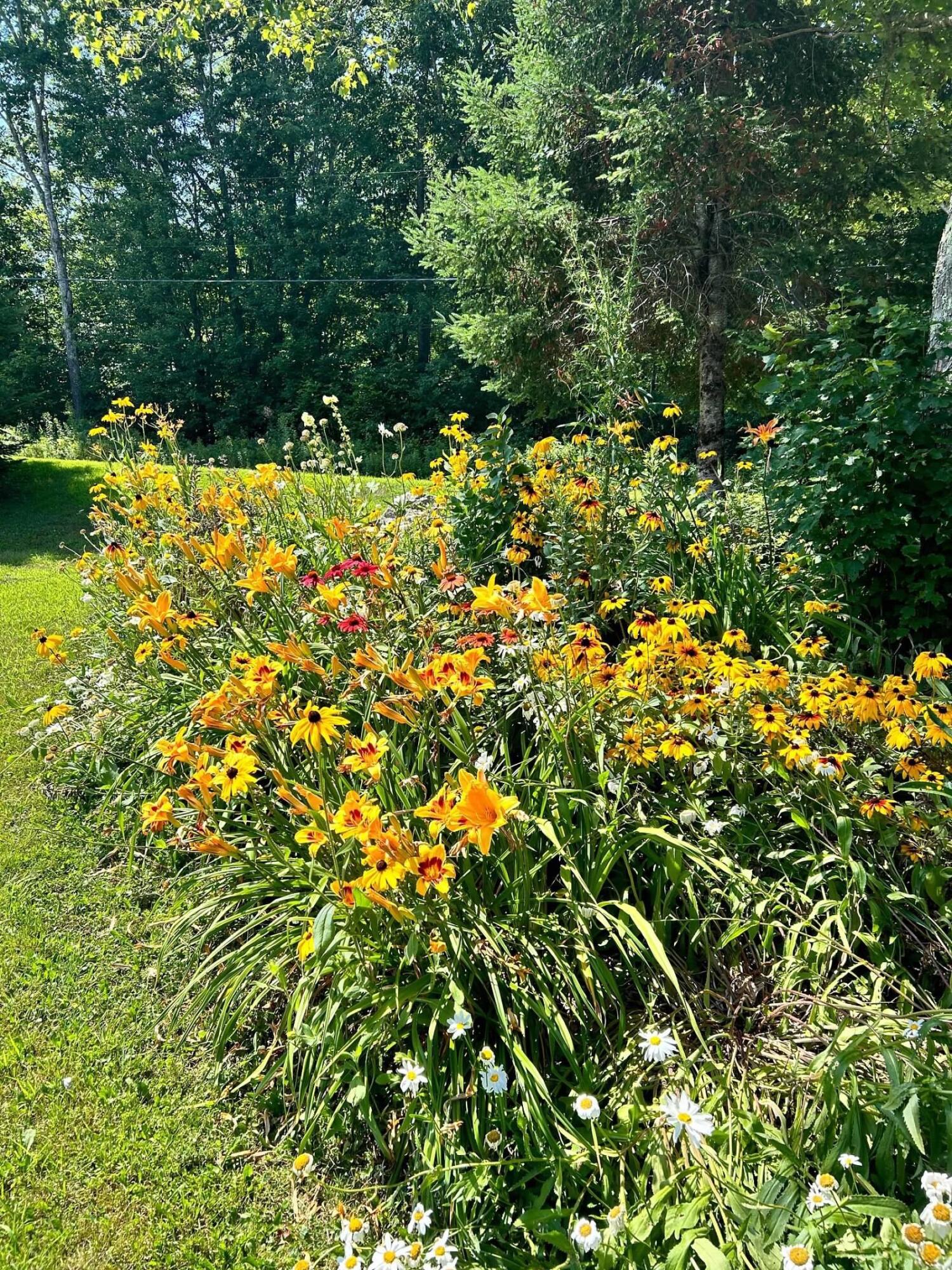 main property photo 74