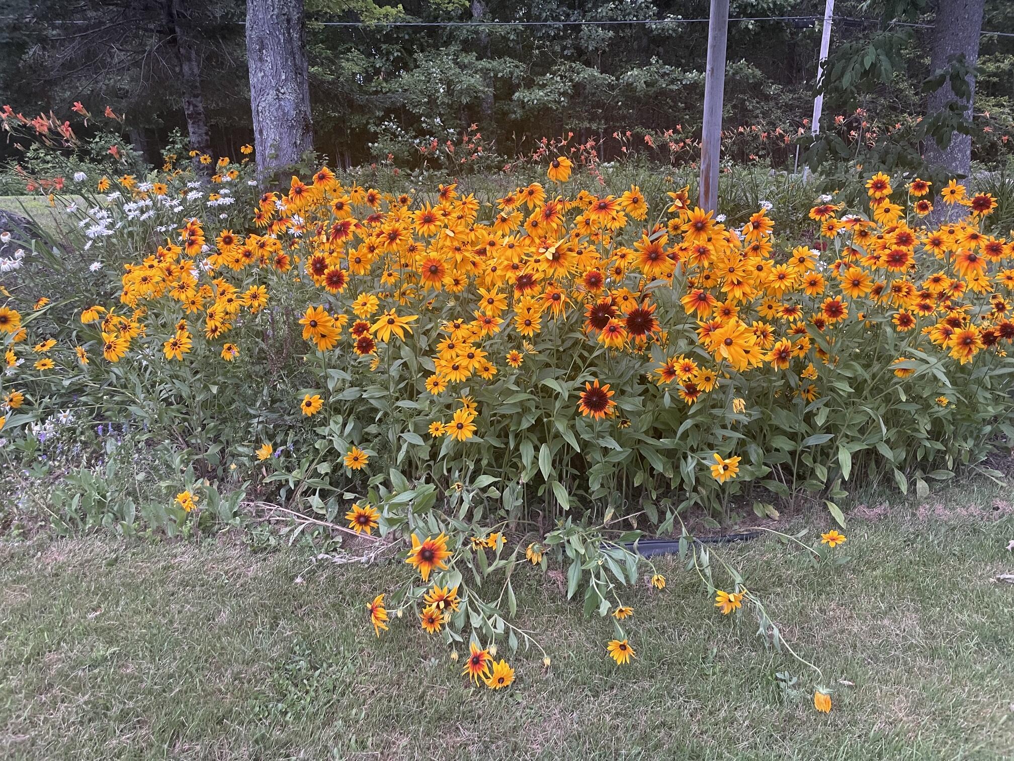 main property photo 75