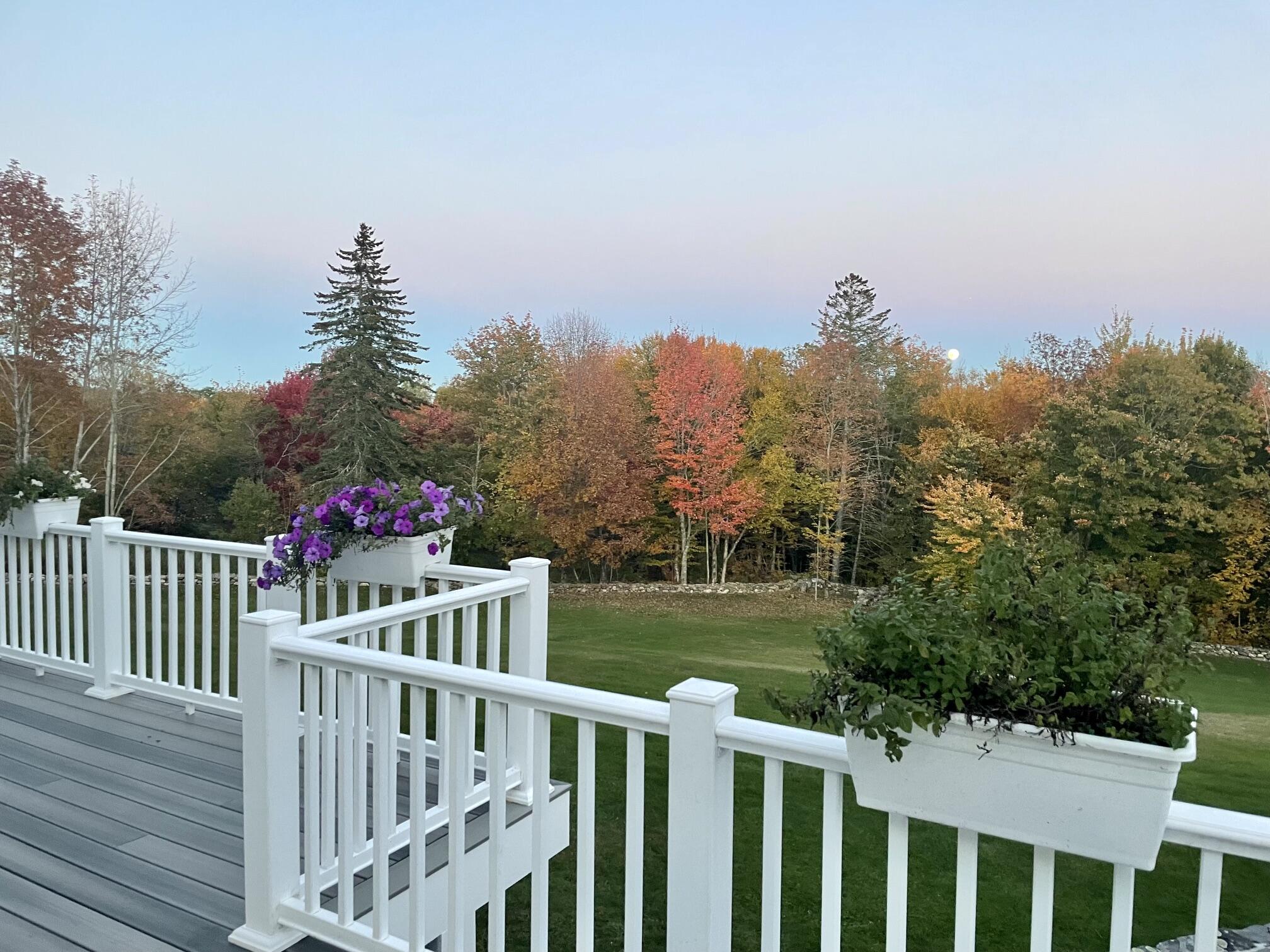 main property photo 78