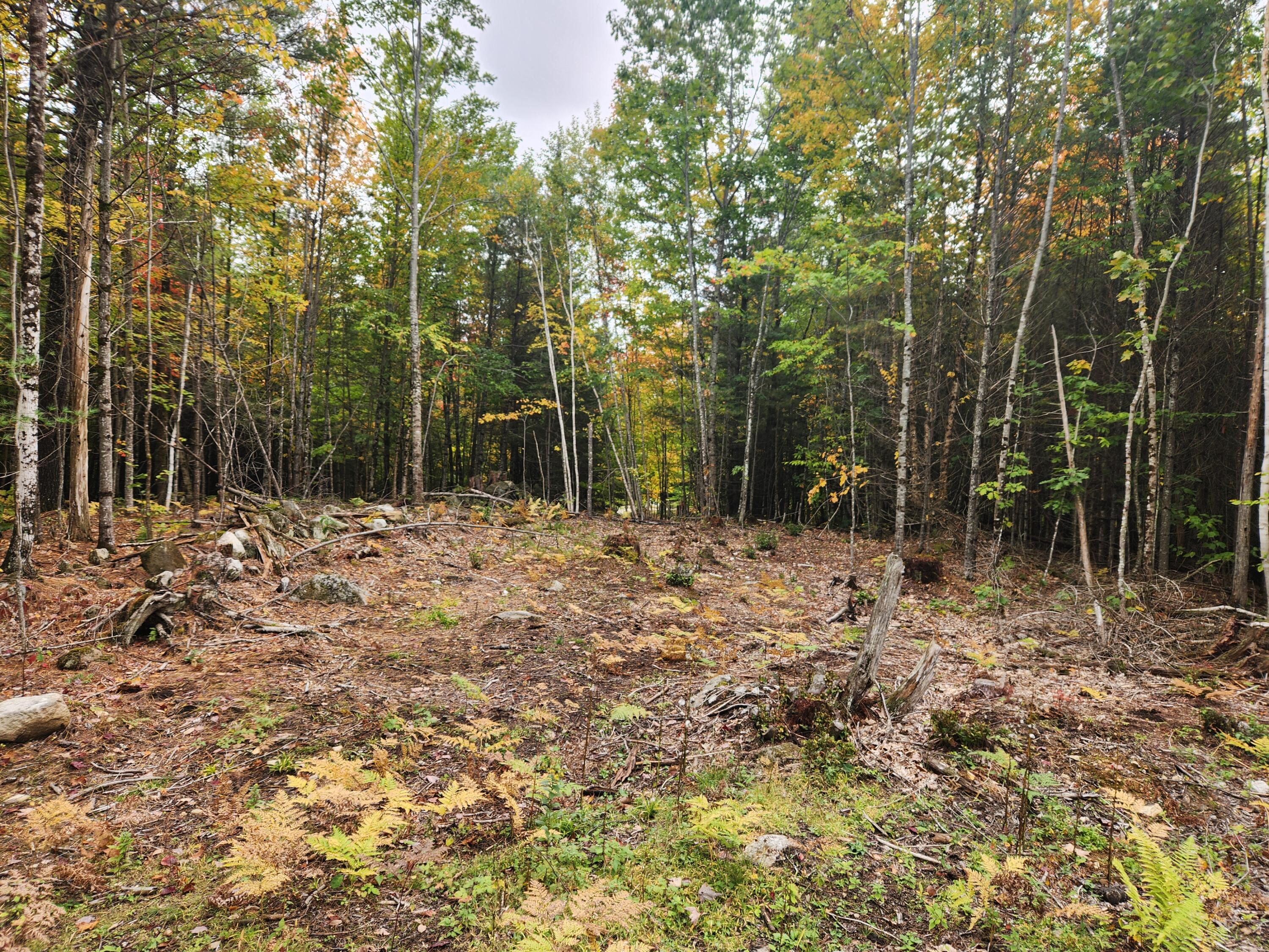 main property photo 6