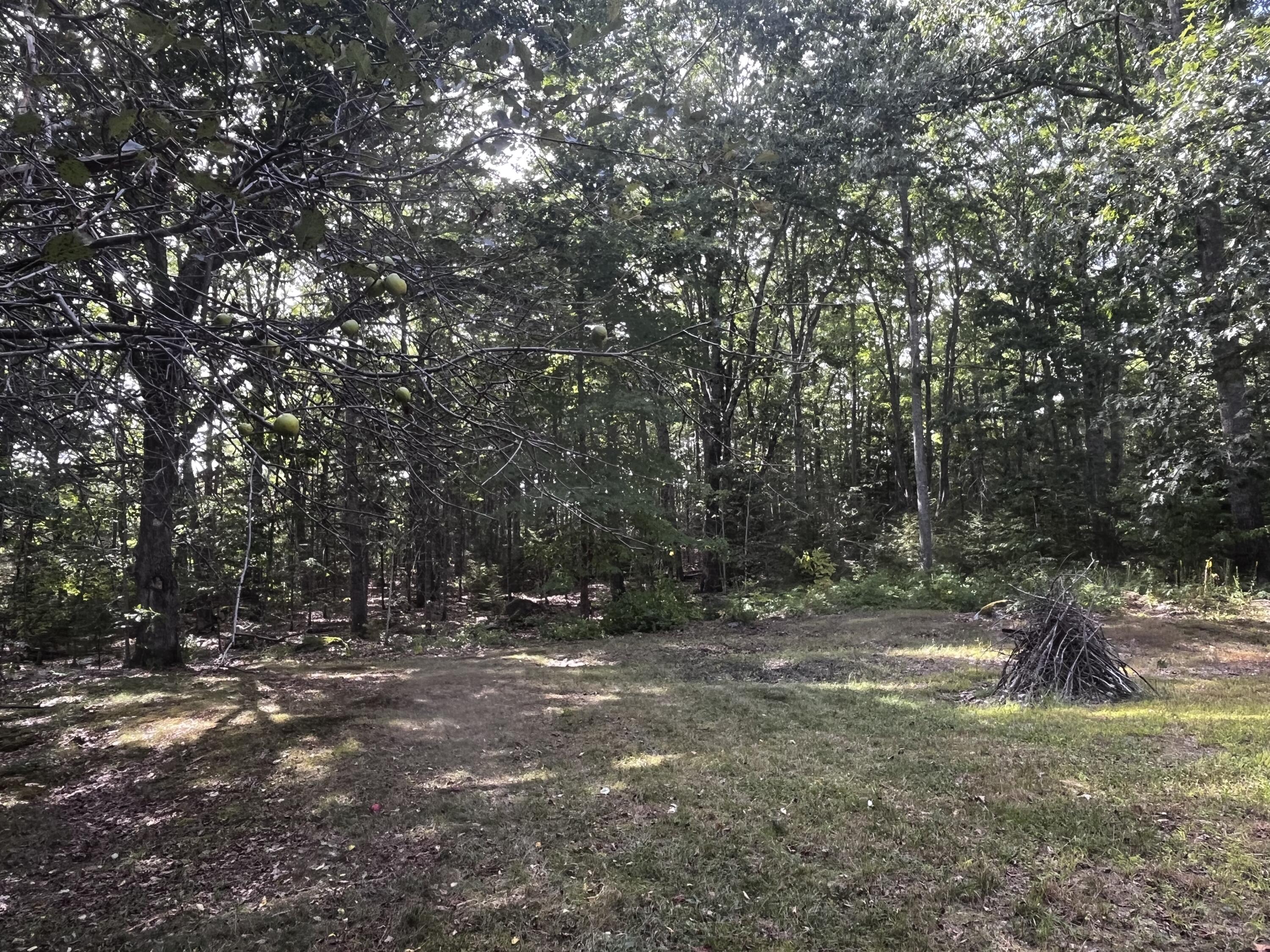 main property photo 32
