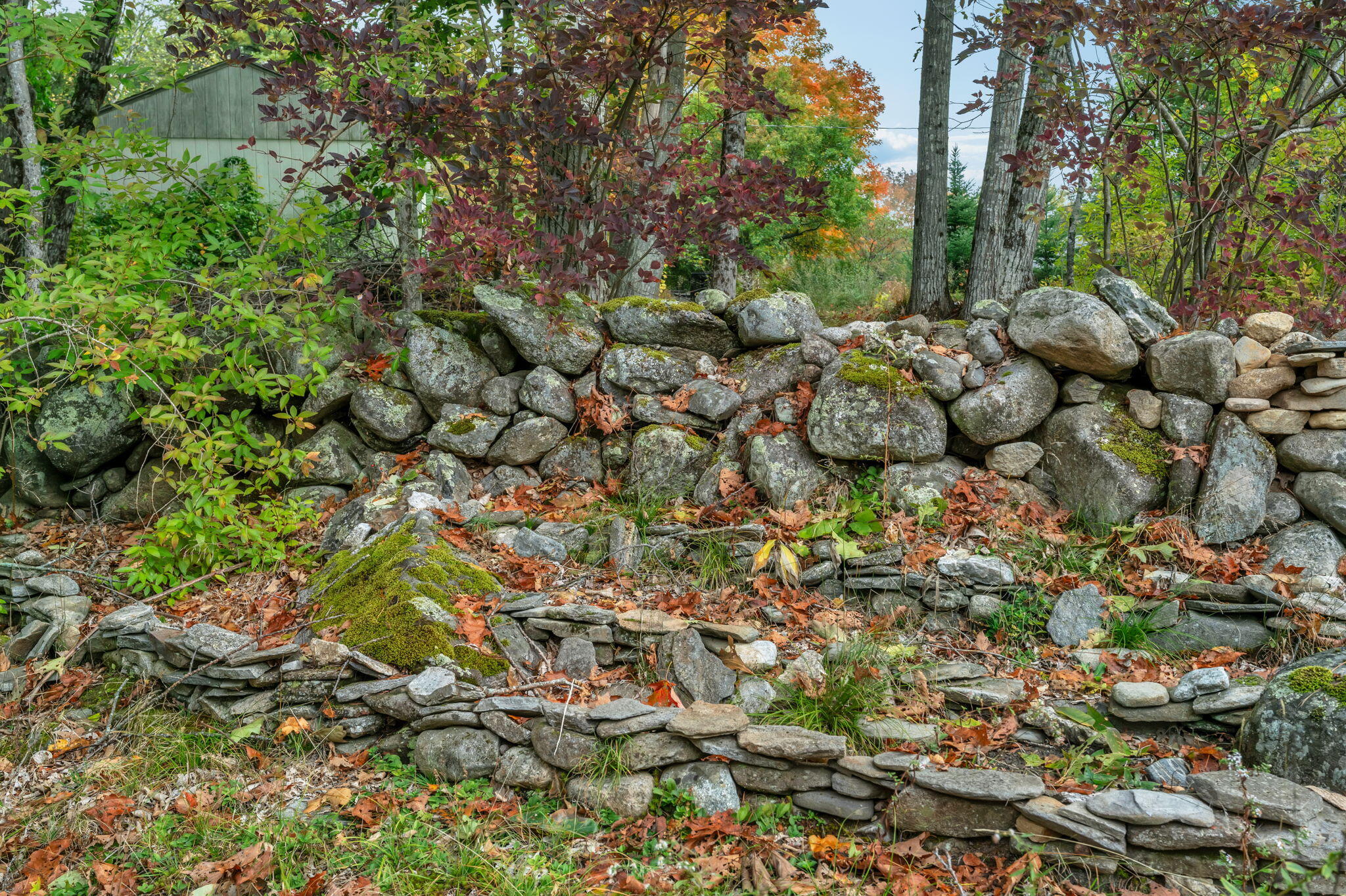main property photo 42