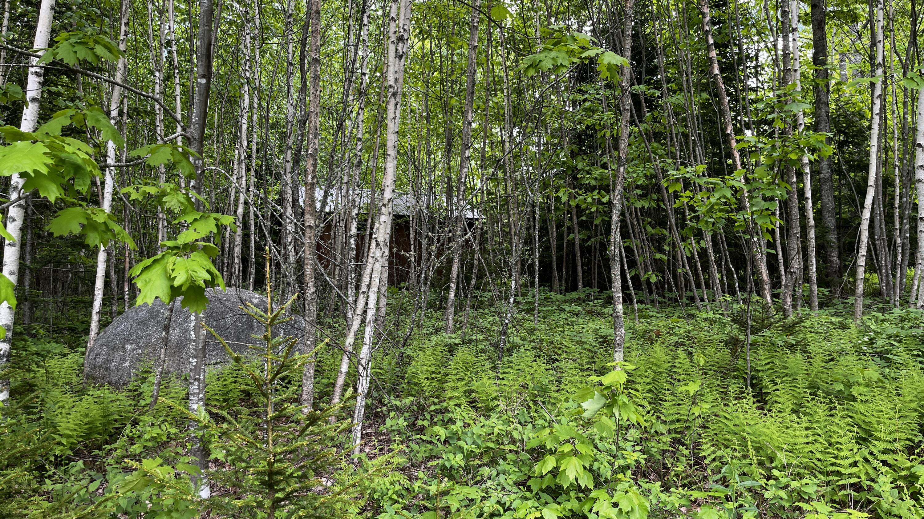 main property photo 11
