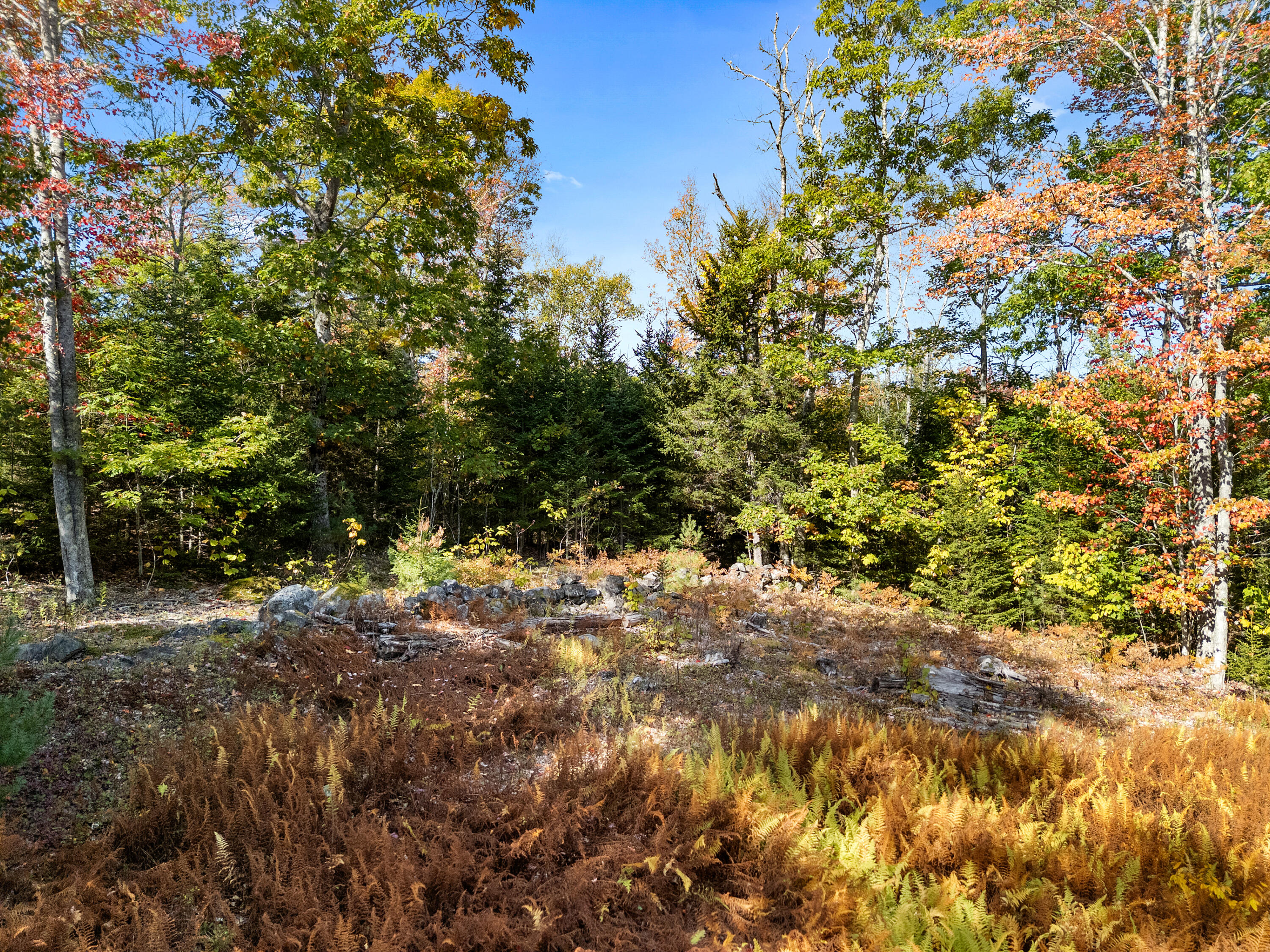 main property photo 34