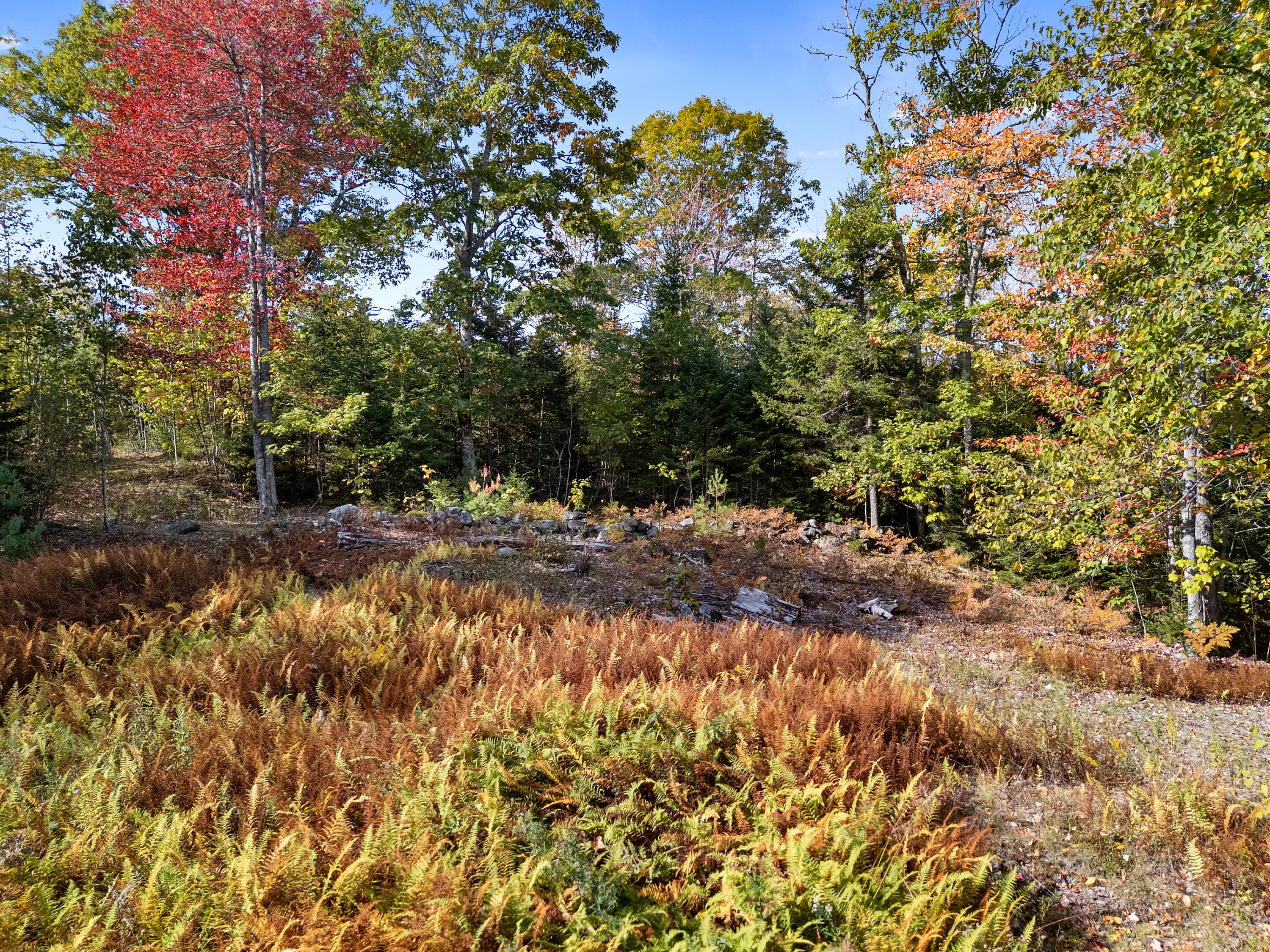 main property photo 36