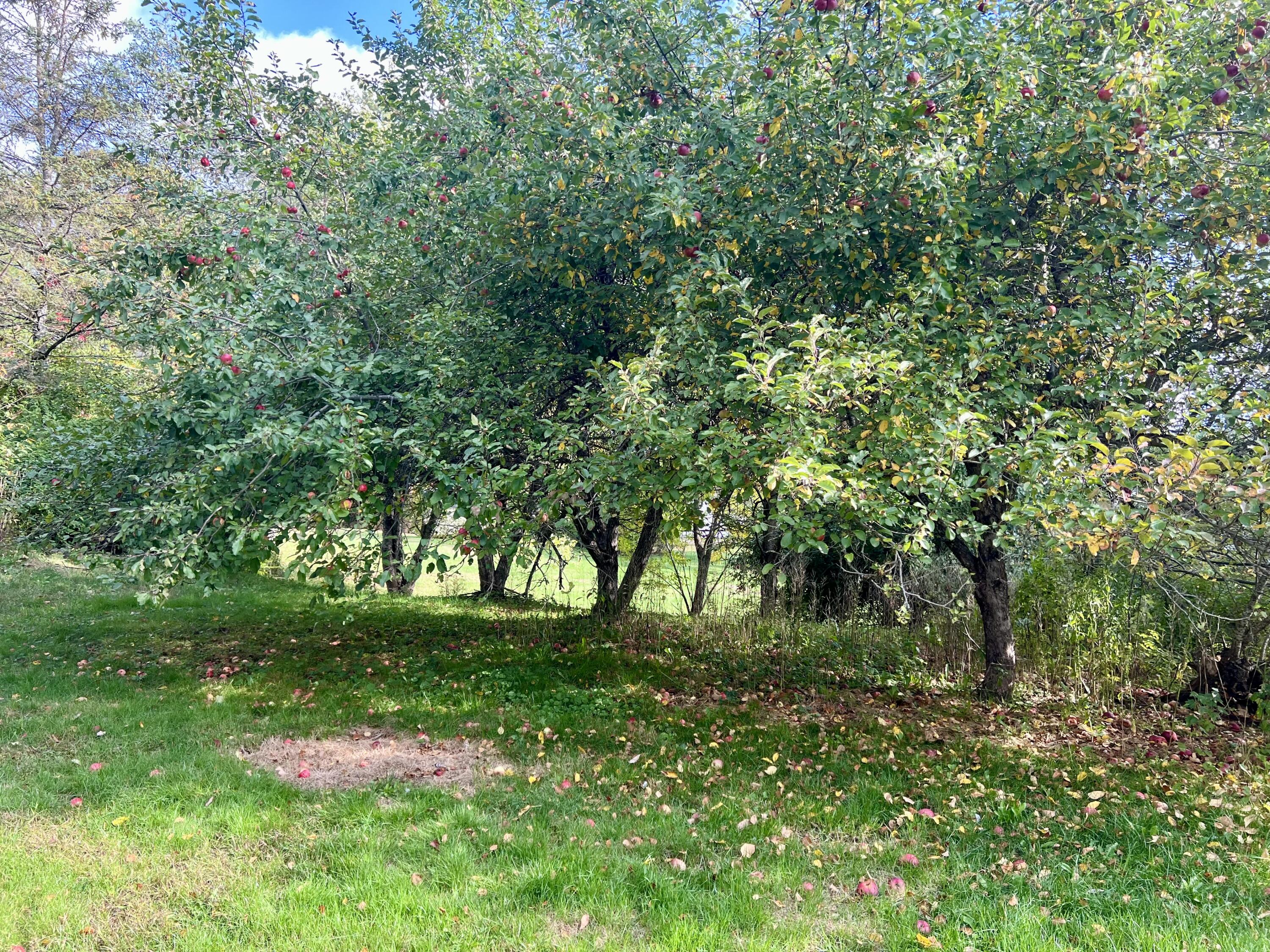 main property photo 5
