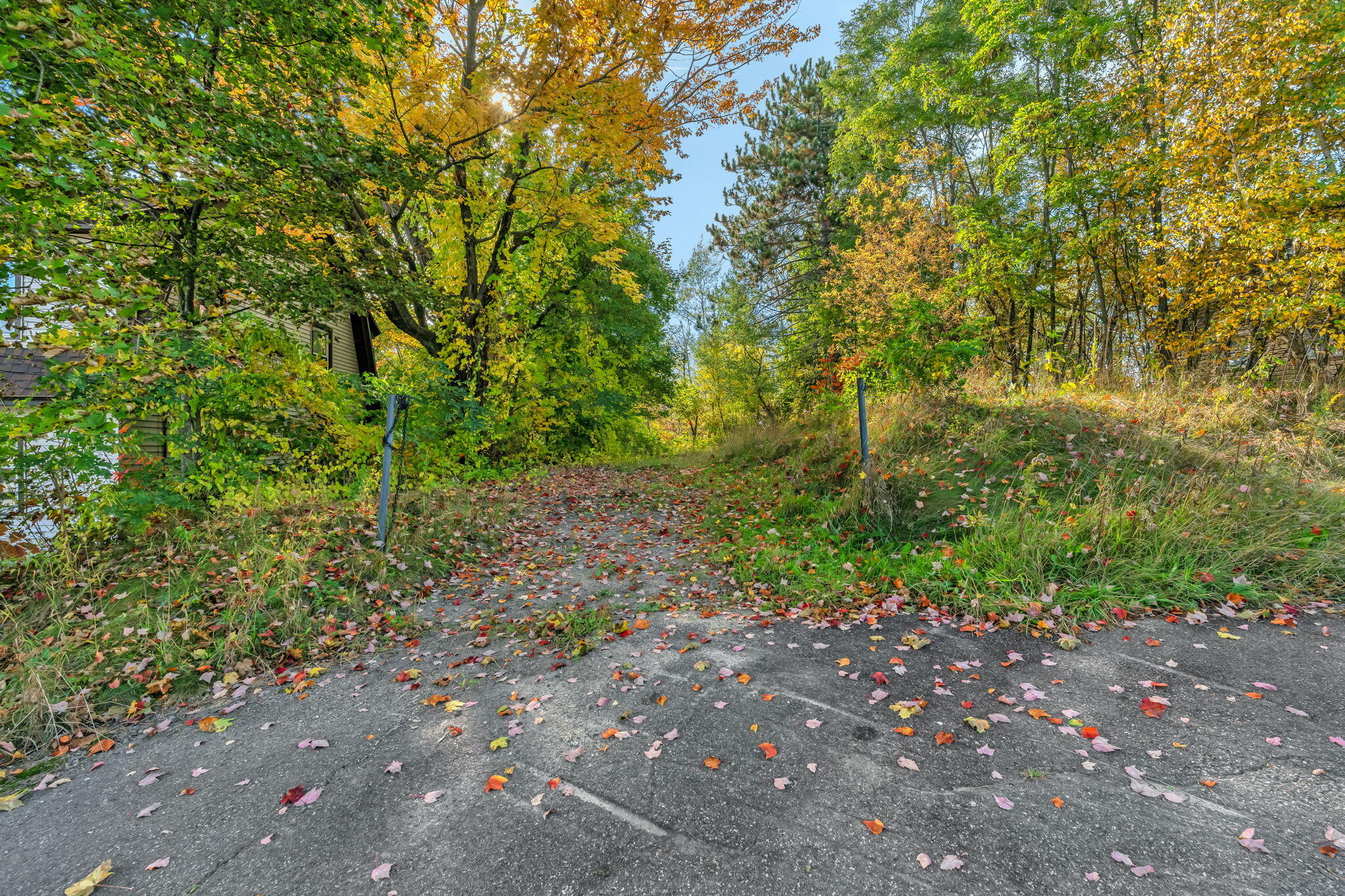 main property photo 39