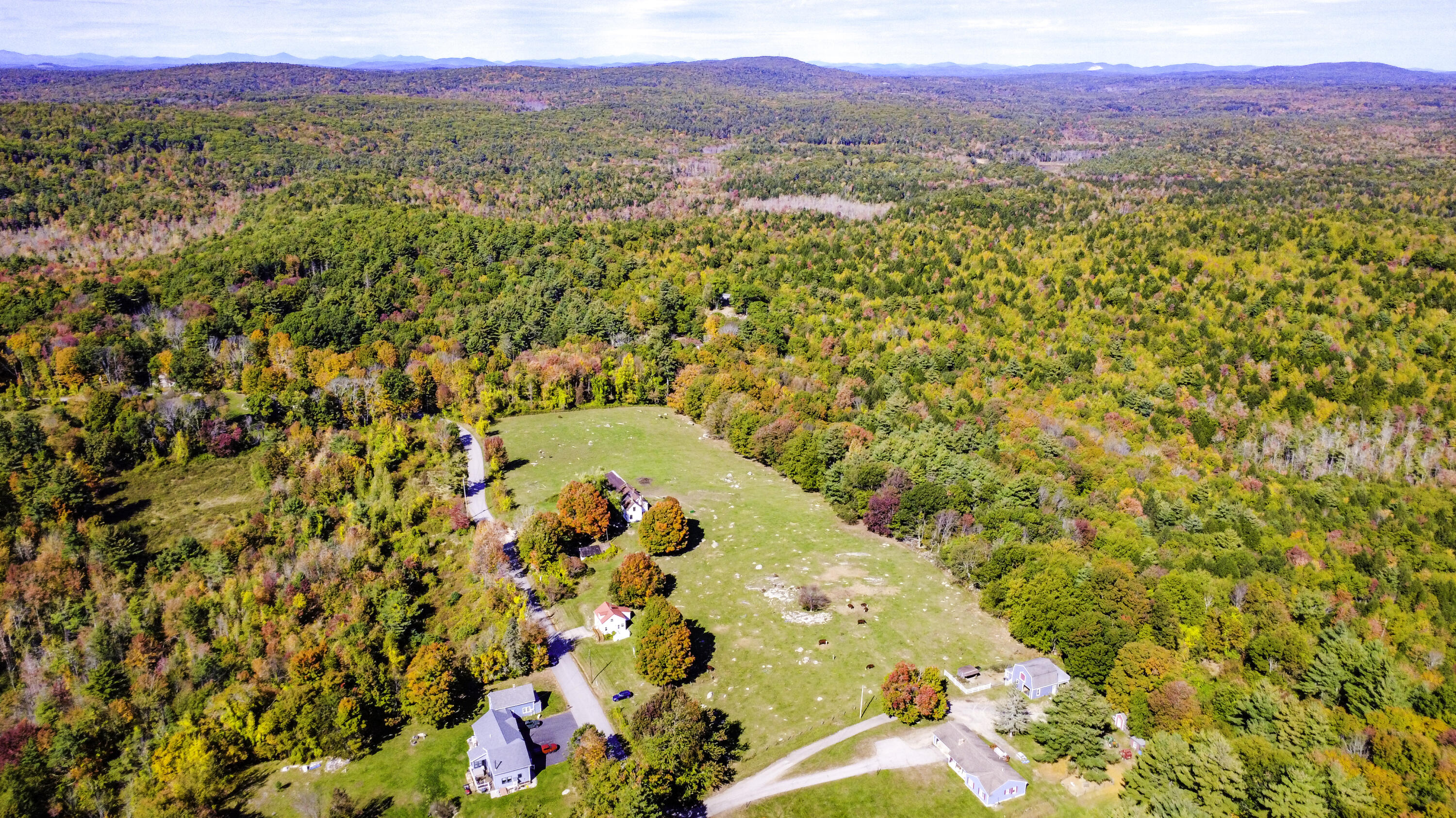 main property photo 81
