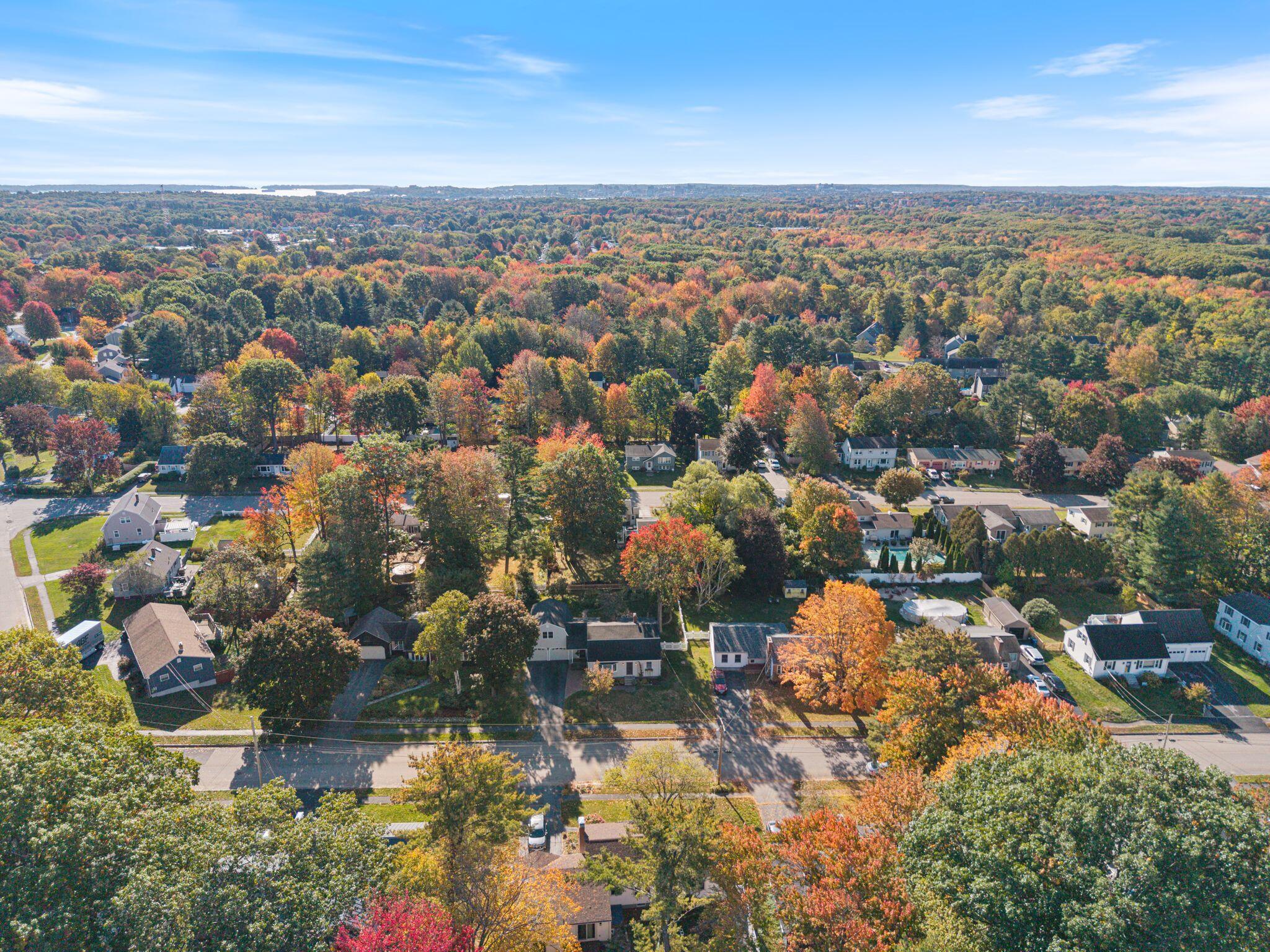 main property photo 64