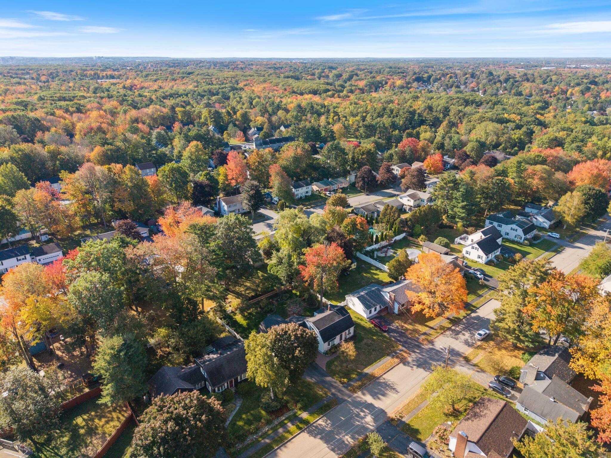 main property photo 66