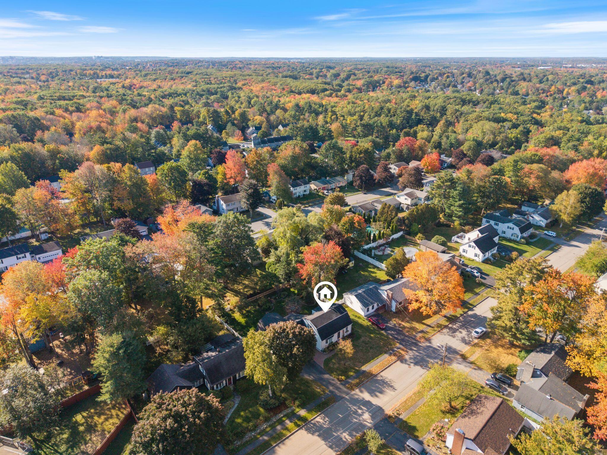 main property photo 67
