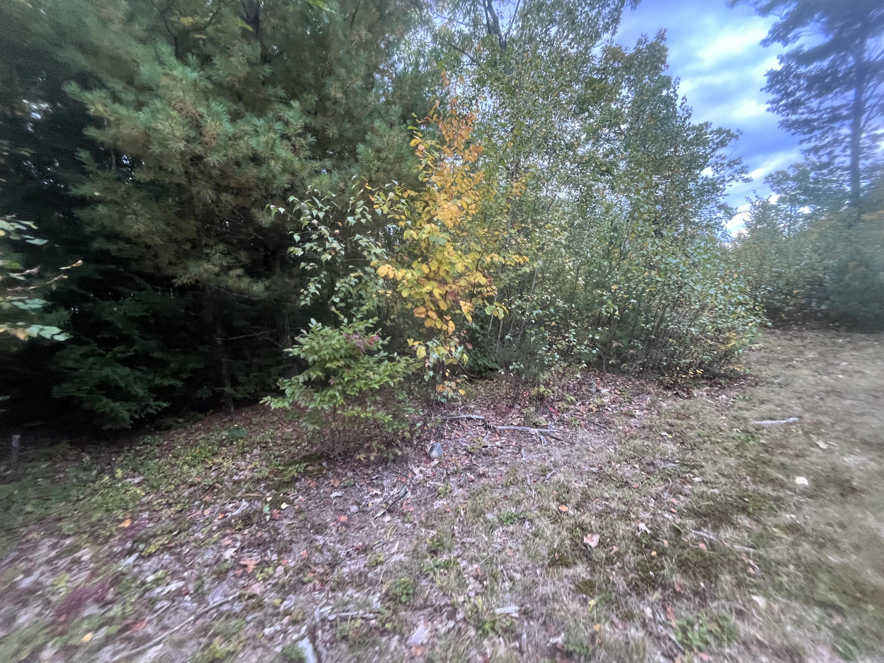 main property photo 11