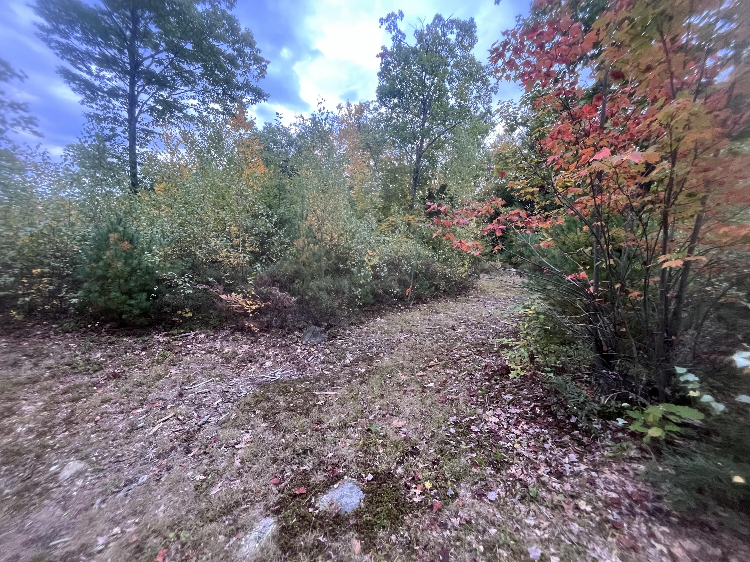 main property photo 8