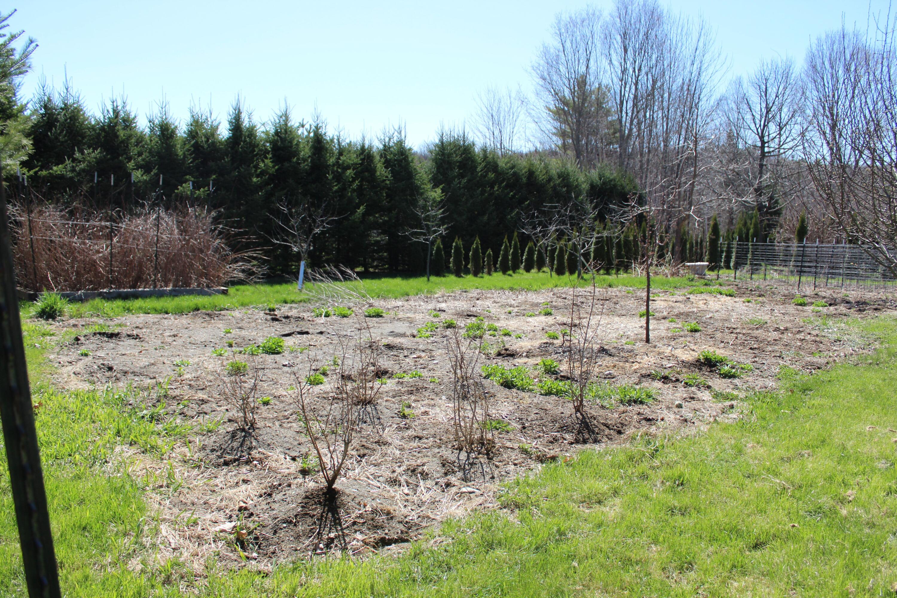 main property photo 16