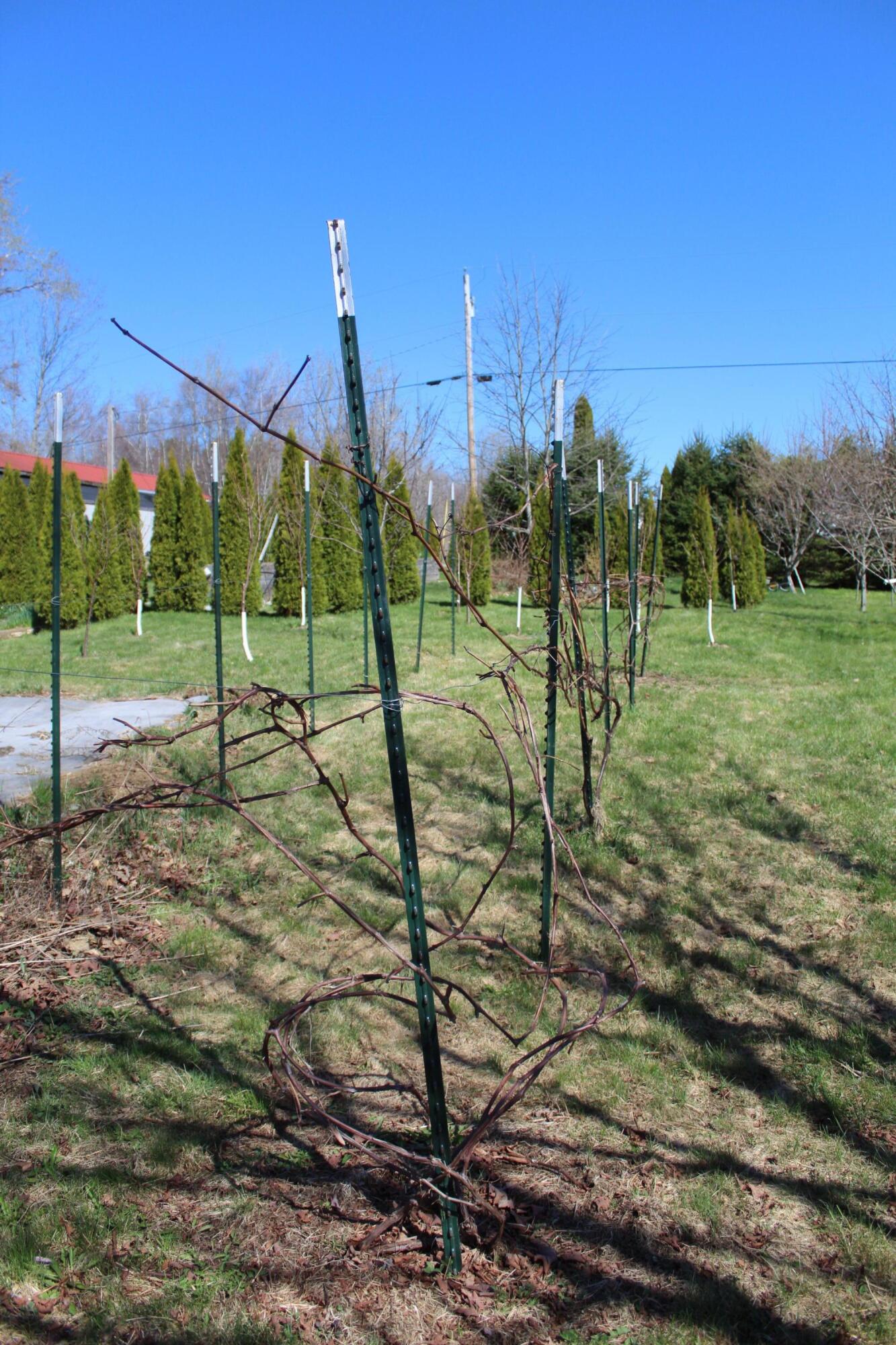 main property photo 23