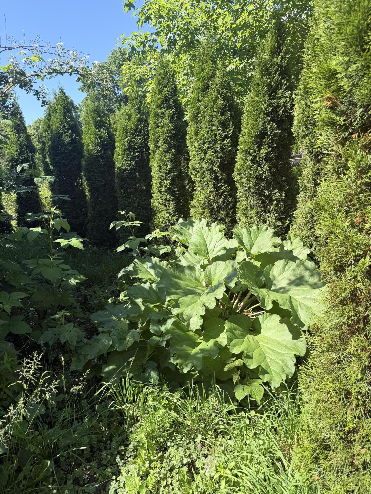 main property photo 8