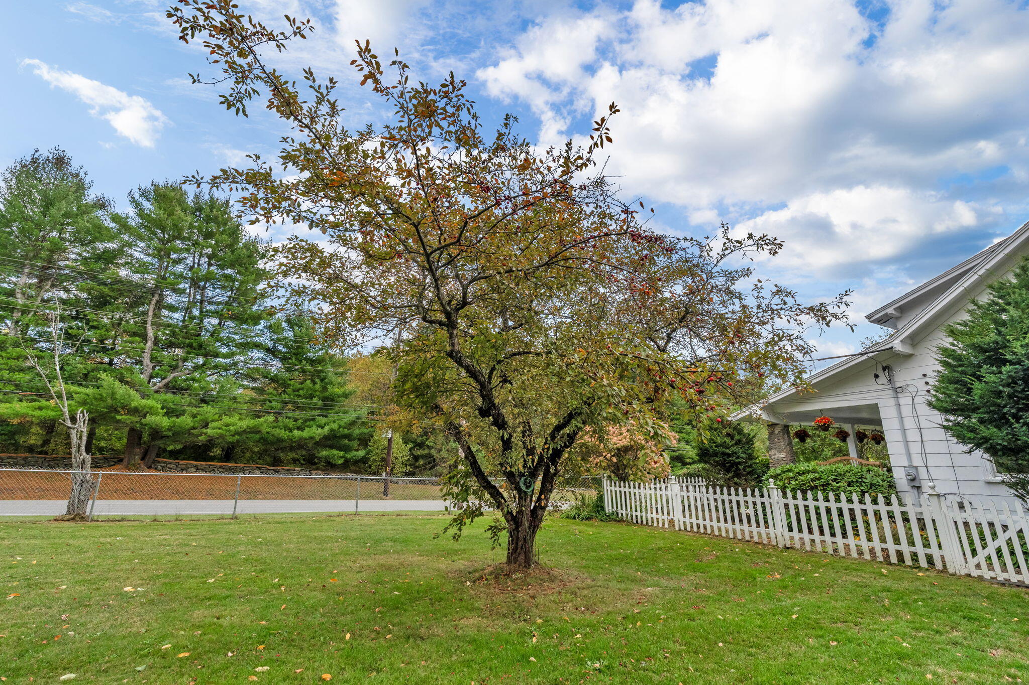 main property photo 55