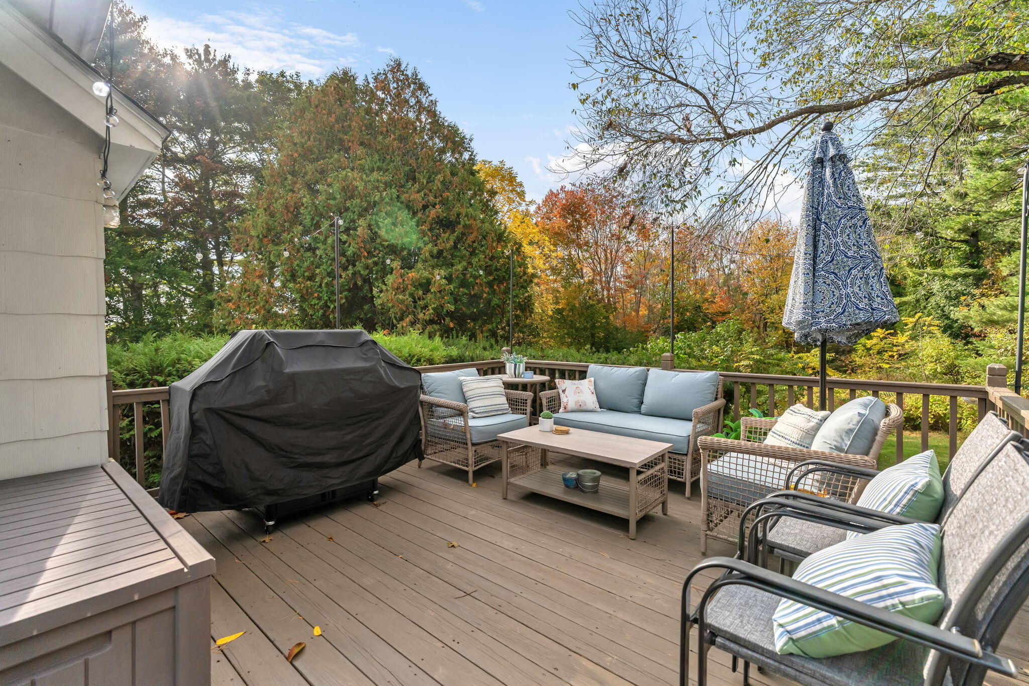 main property photo 65