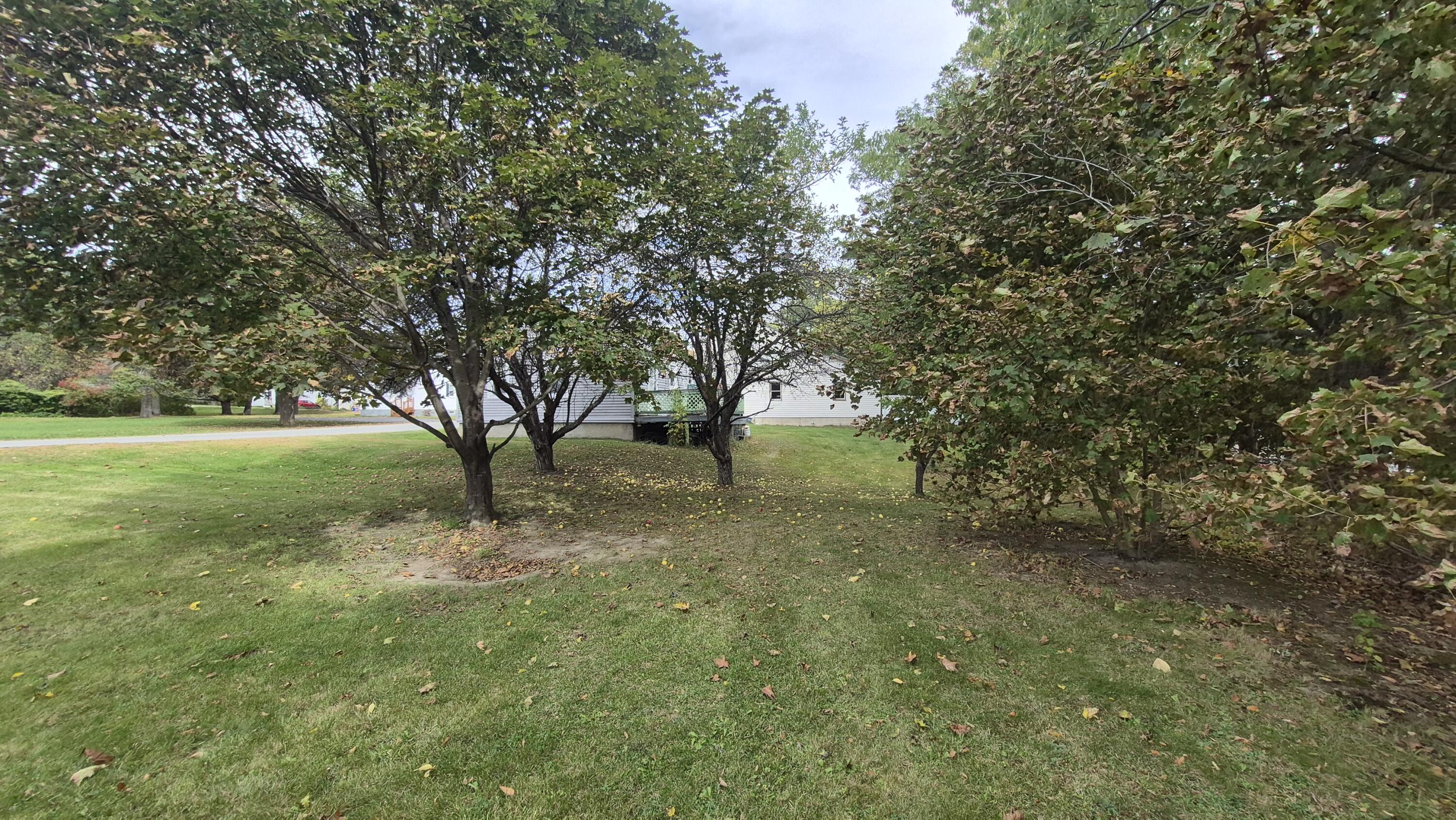 main property photo 4
