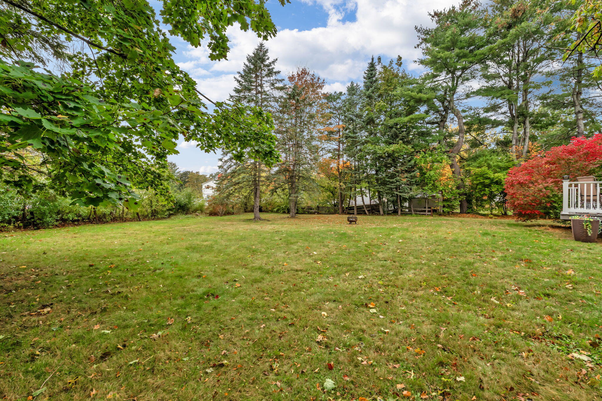 main property photo 54