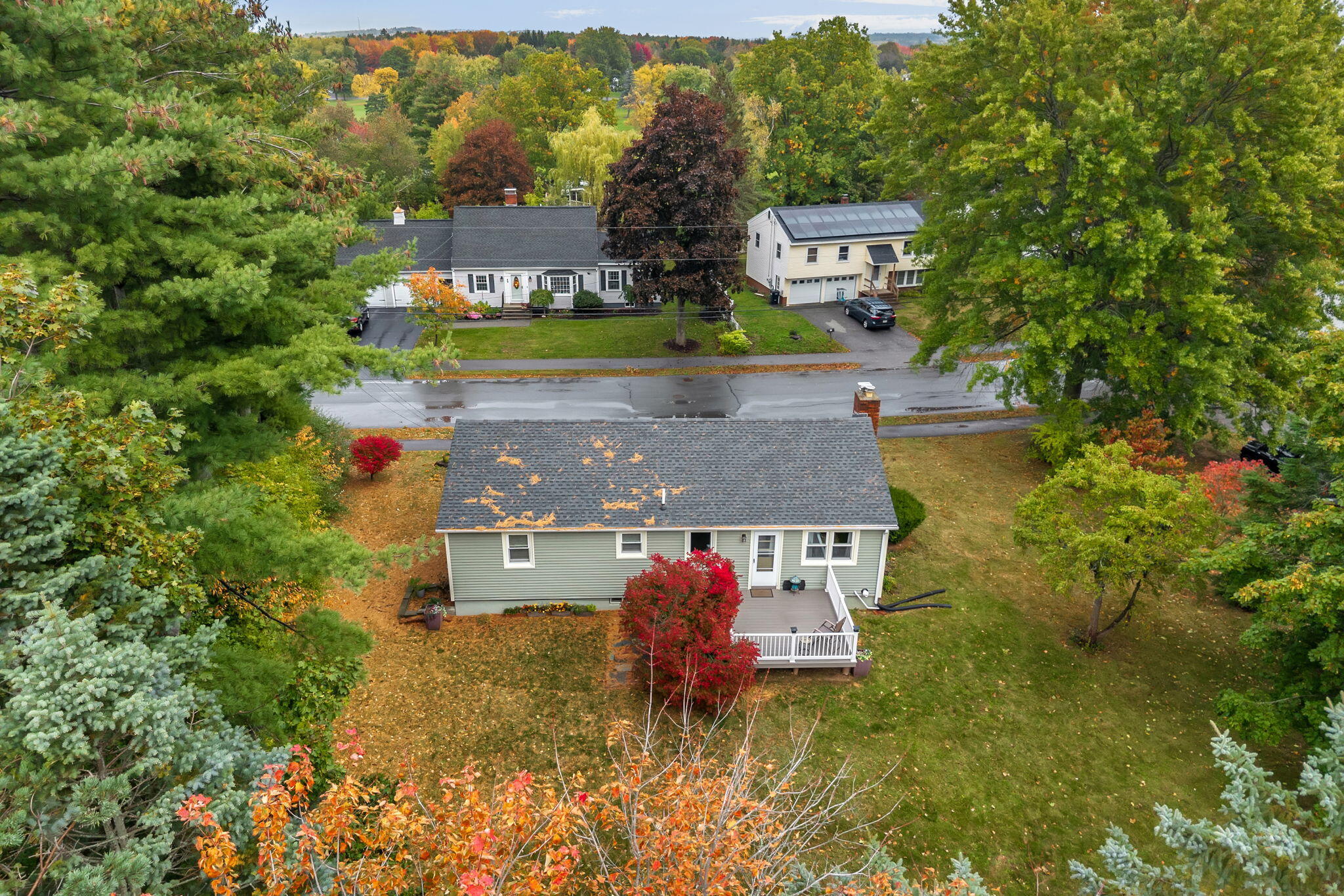 main property photo 61