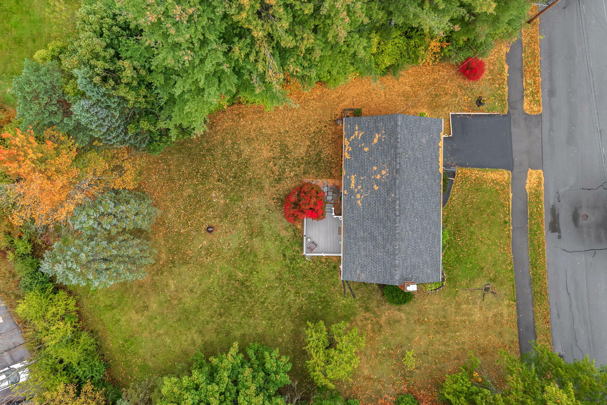 main property photo 66